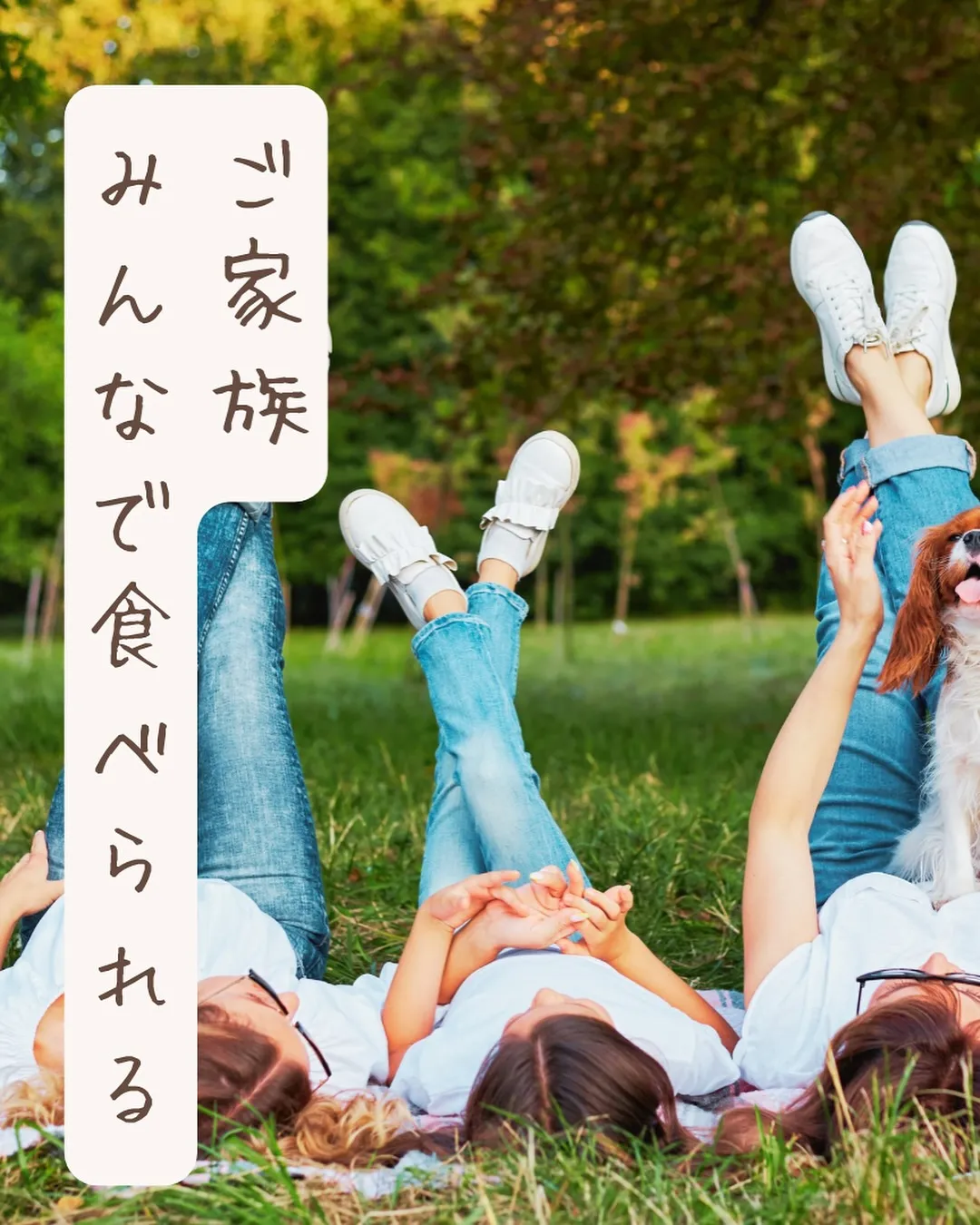 【チワワちゃん大集合!ふりりがチワワEXPOに出店します】