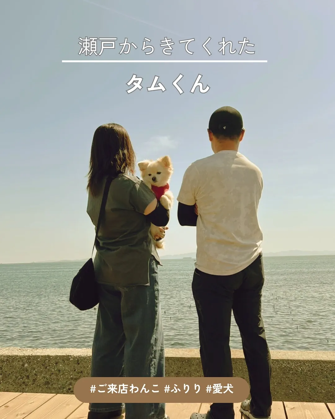 【タムくんと海の見えるふりりへ｜無添加おせんべい体験】