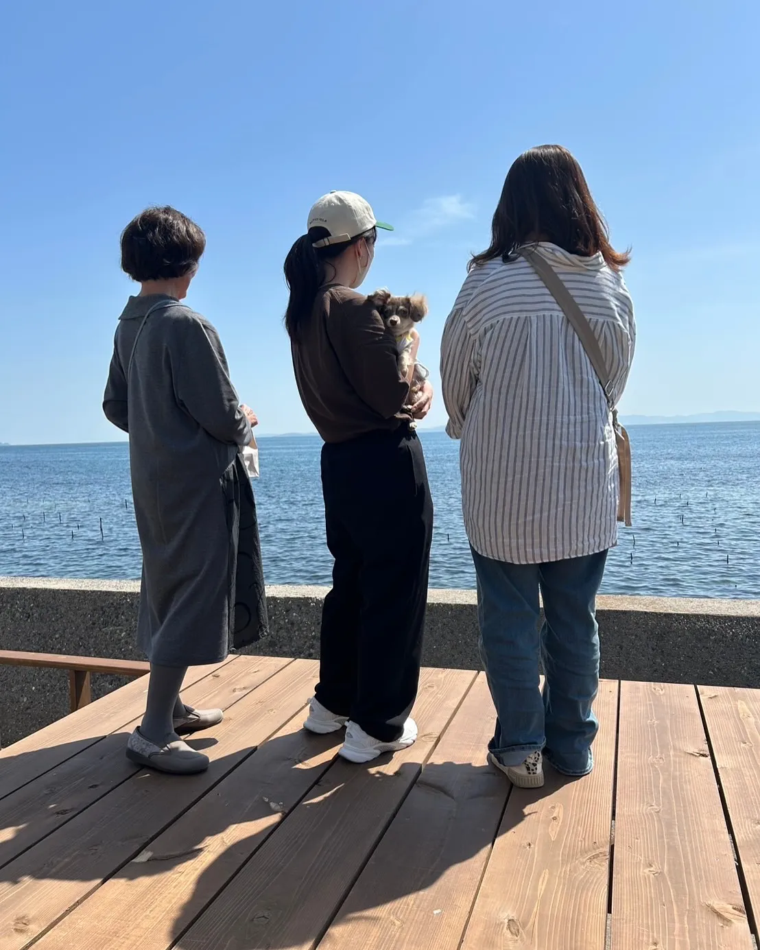 【げんくん・4ヶ月のパピーちゃんも夢中！ふりりのおせんべいデ...