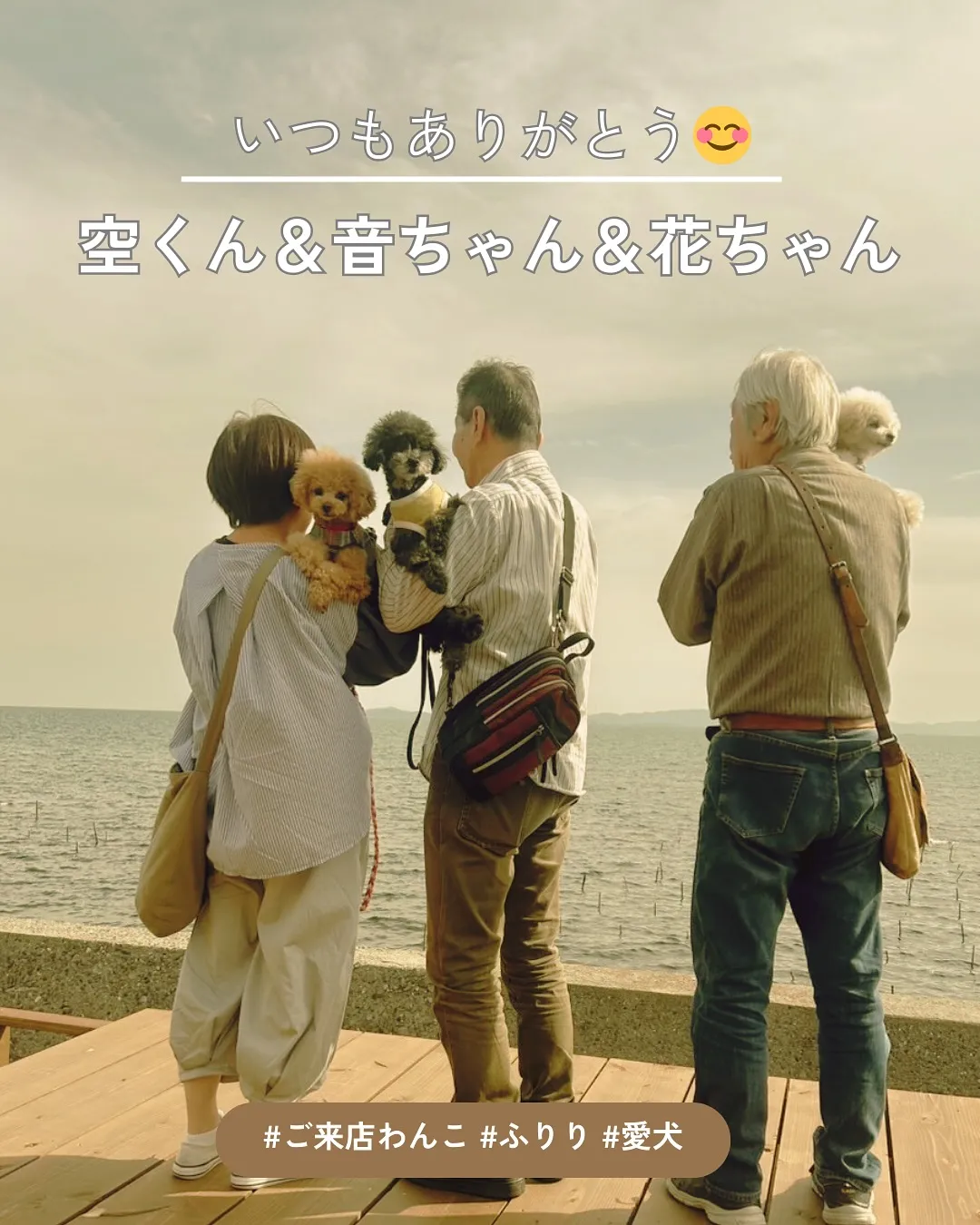 【空くん＆音ちゃん＆花ちゃん、再びふりりへ！愛犬と一緒に食べ...