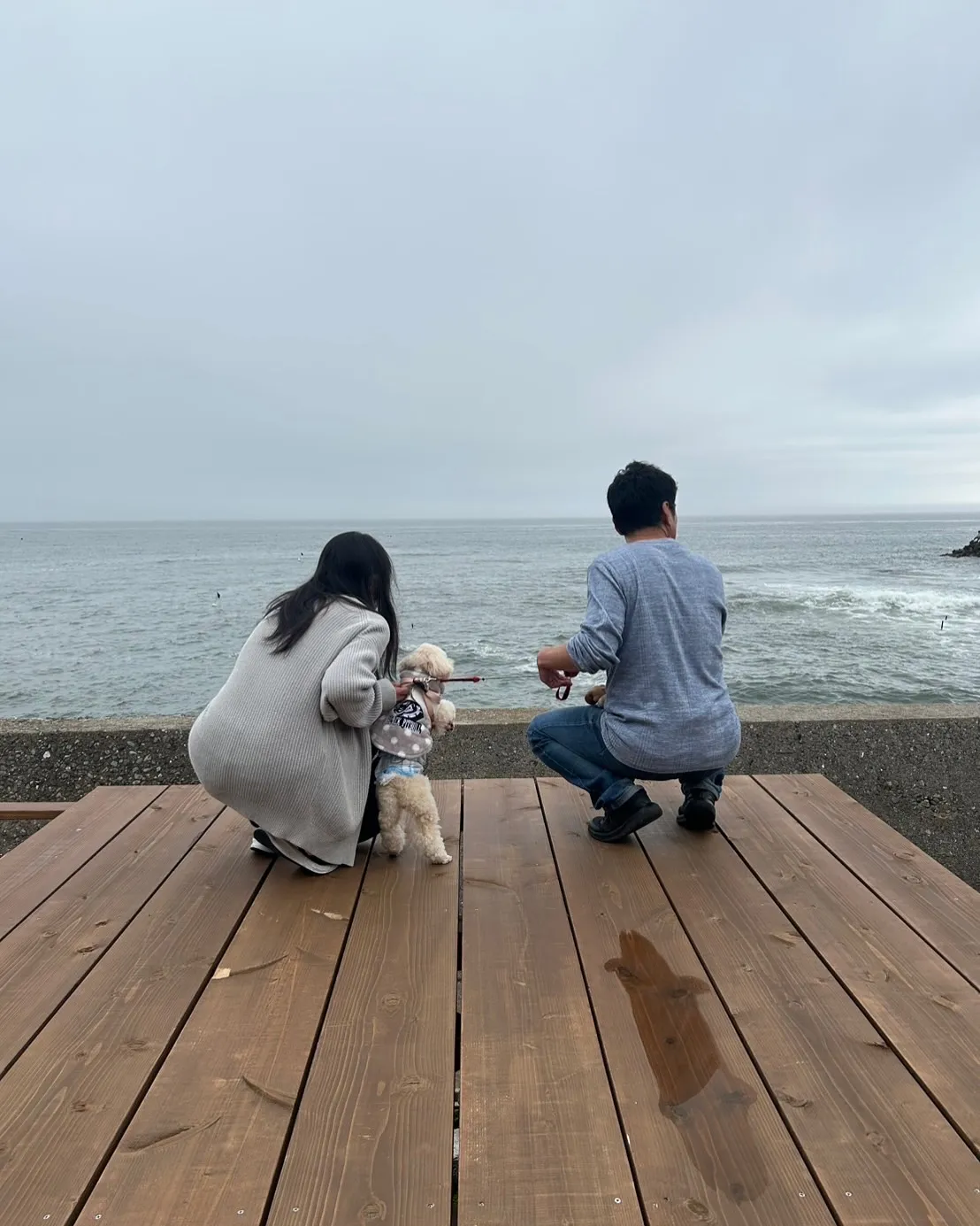 ココくん、またまたふりりへようこそ♪愛犬と一緒に食べられる無...