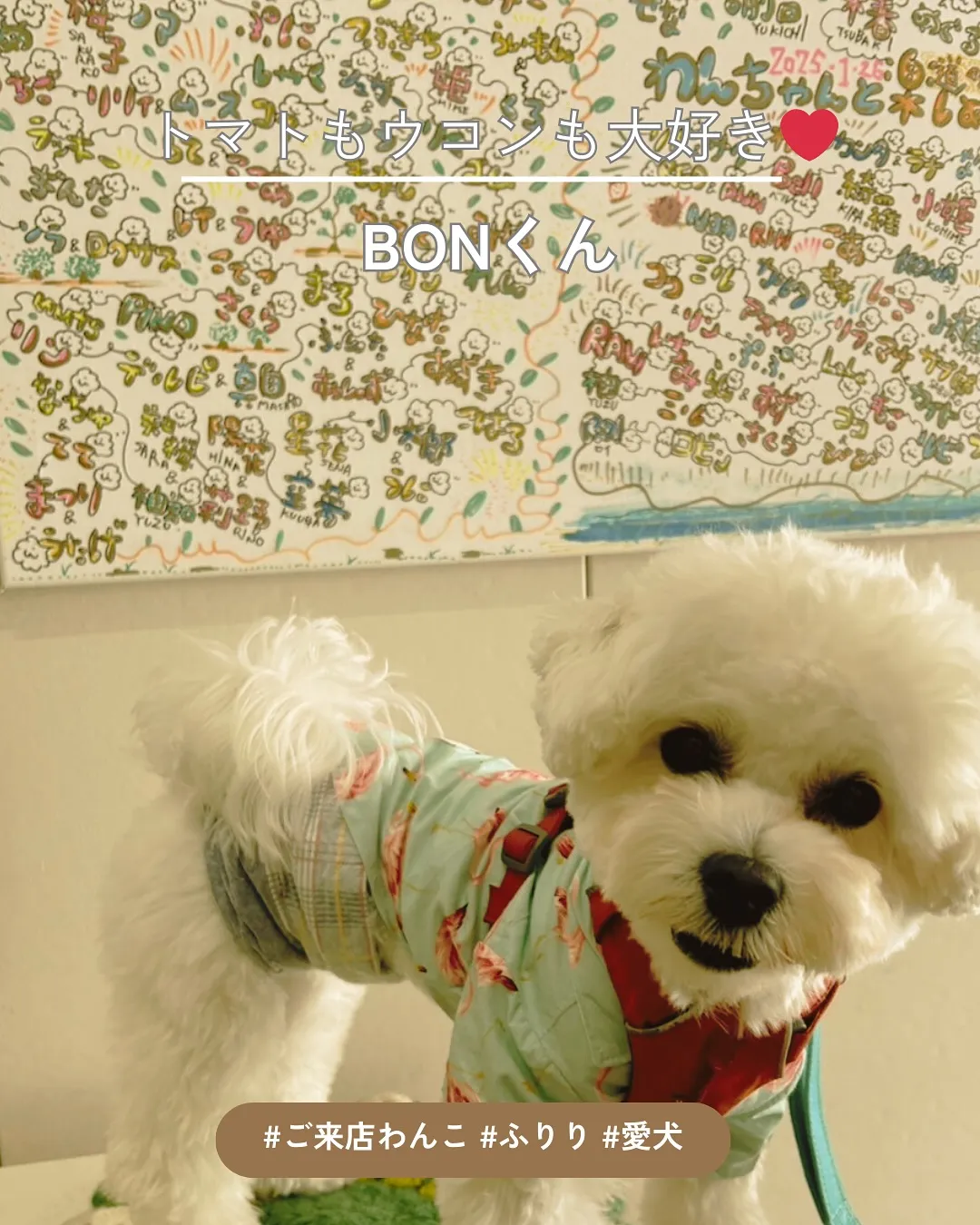 BONくん、イベントからふりりの実店舗へ！お名前アートにもご...