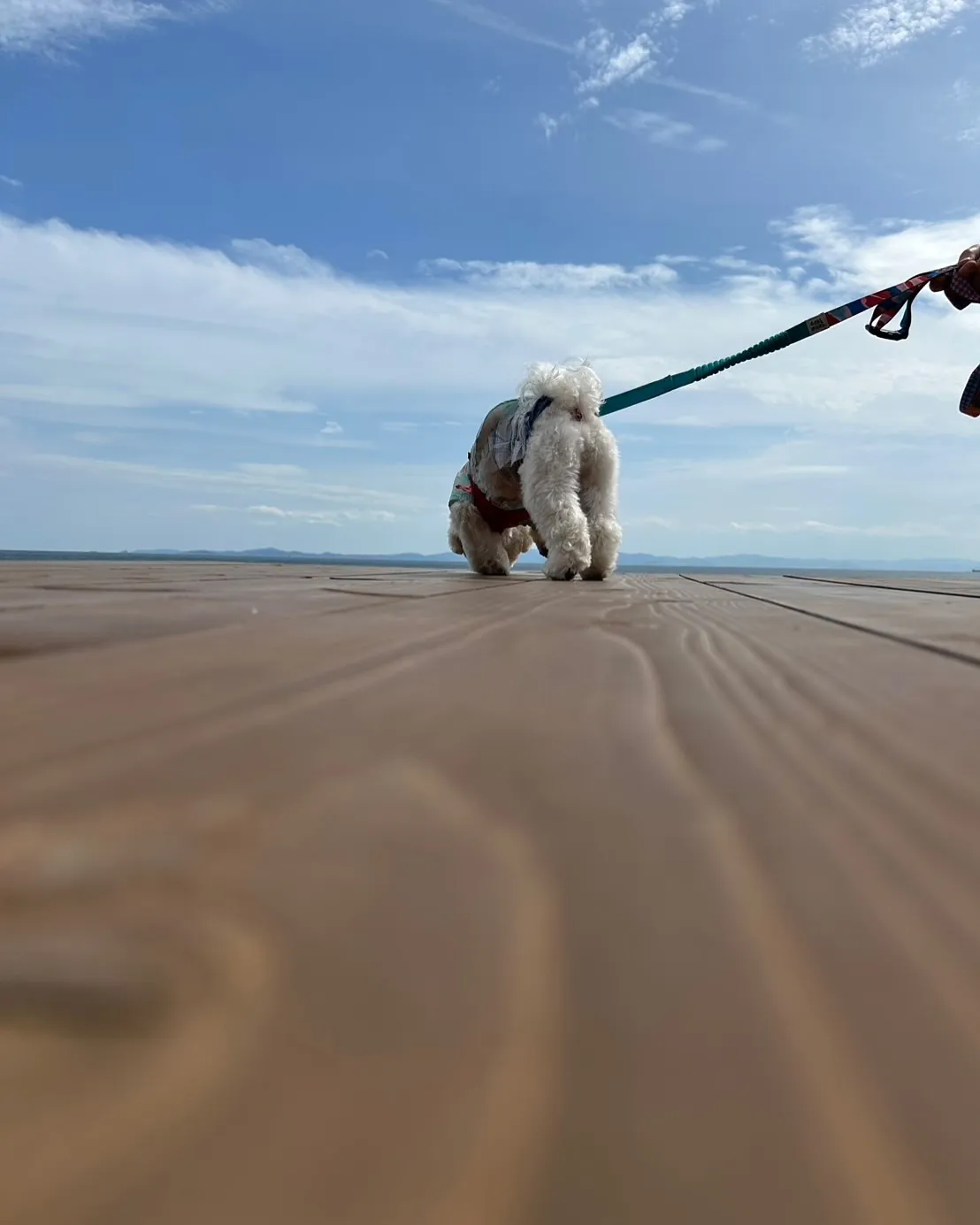 BONくん、イベントからふりりの実店舗へ！お名前アートにもご...