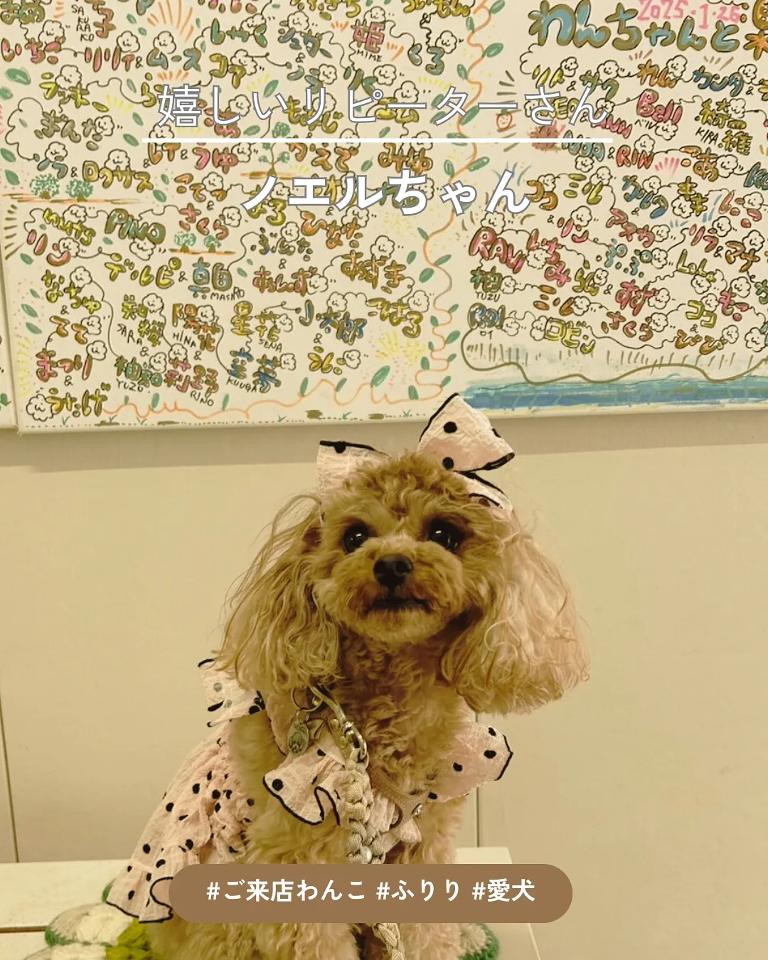 ノエルちゃん、しあわせな笑顔とふりりの優しさに包まれて(トイ...