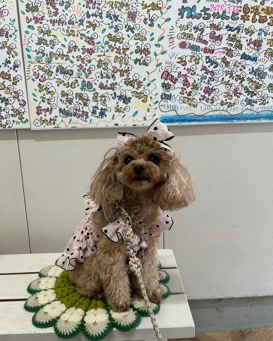 ノエルちゃん、しあわせな笑顔とふりりの優しさに包まれて(トイ...