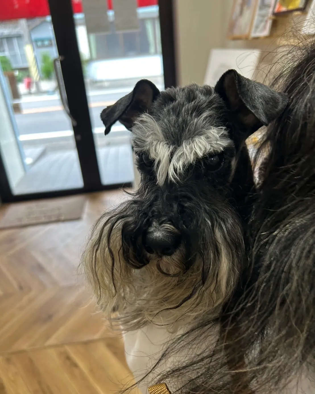 【やしきちゃん(夜使姫)再びご来店♪ふりりでやさしいおやつタ...