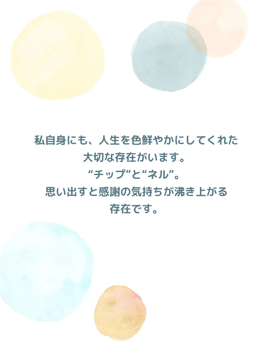 ふりりで出会った、