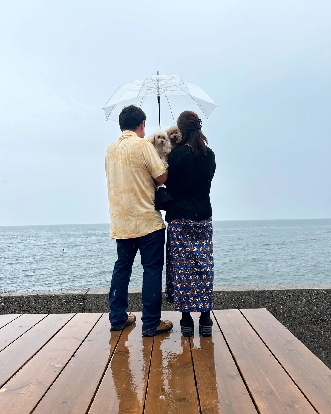 にこちゃん&あずきちゃん、いつも応援ありがとう!雨の日もふり...