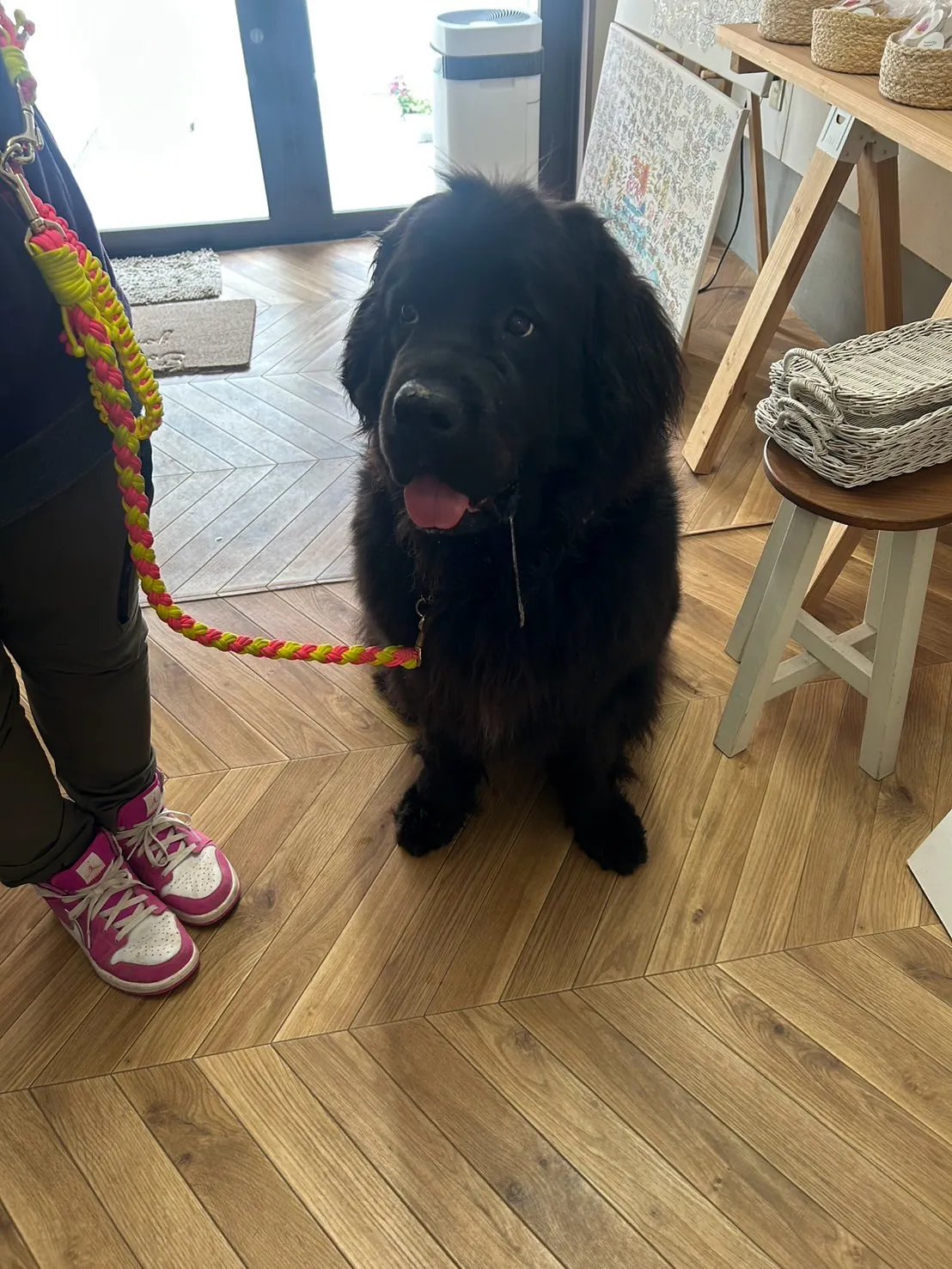 雷くん＆ライラちゃん、そしてお空のおはぎちゃん。