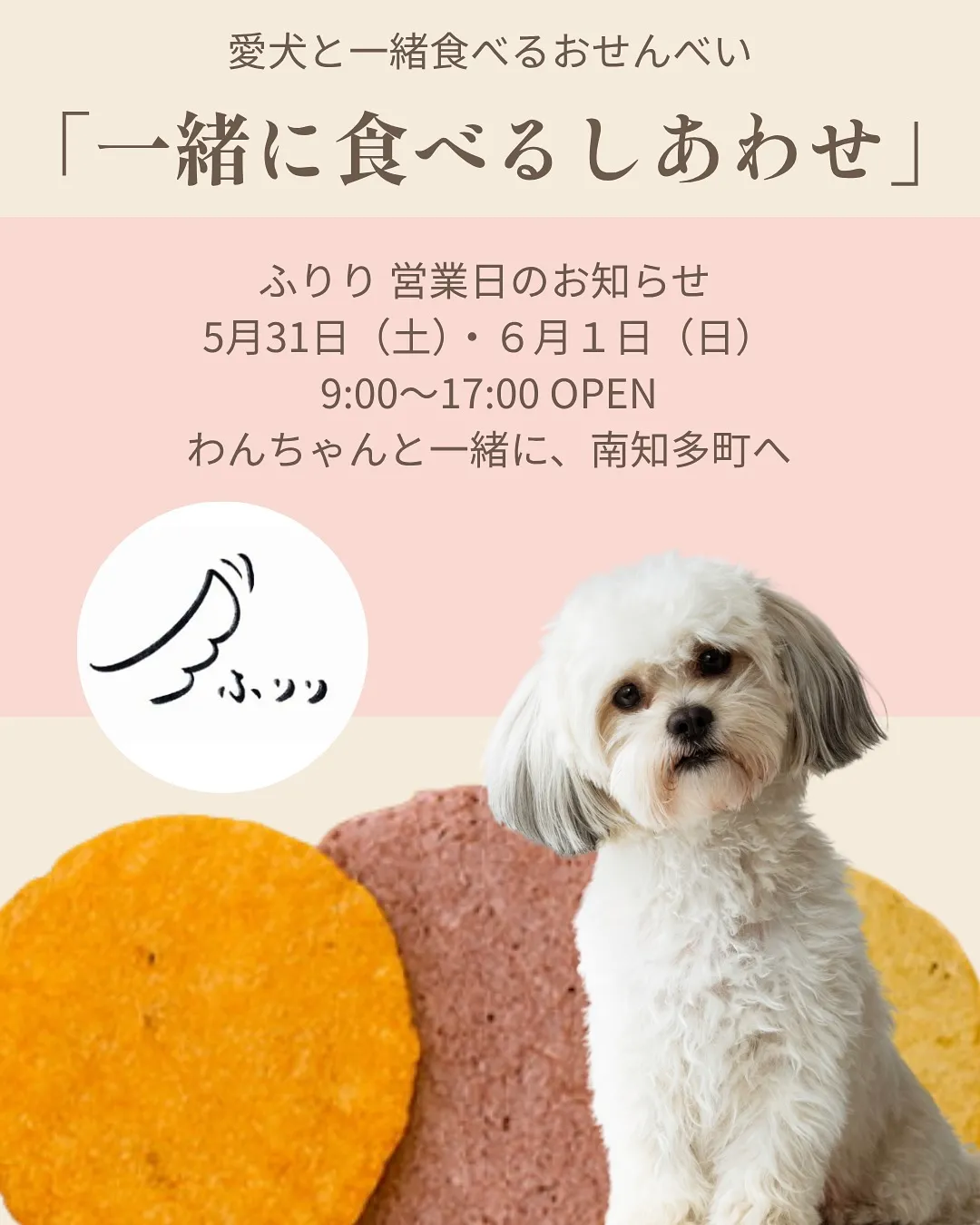 đž ãä¸įˇãĢéŖãšãããããããĩããåļæĨæĨãŽãįĨãã