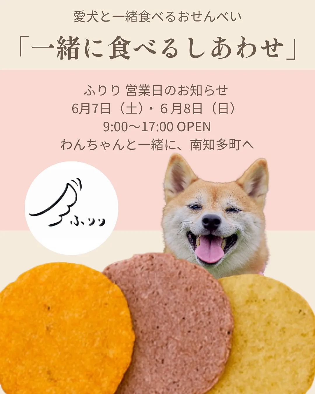 đļ ãä¸įˇãĢéŖãšãããããããĩããåļæĨæĨãŽãįĨããã§ãã