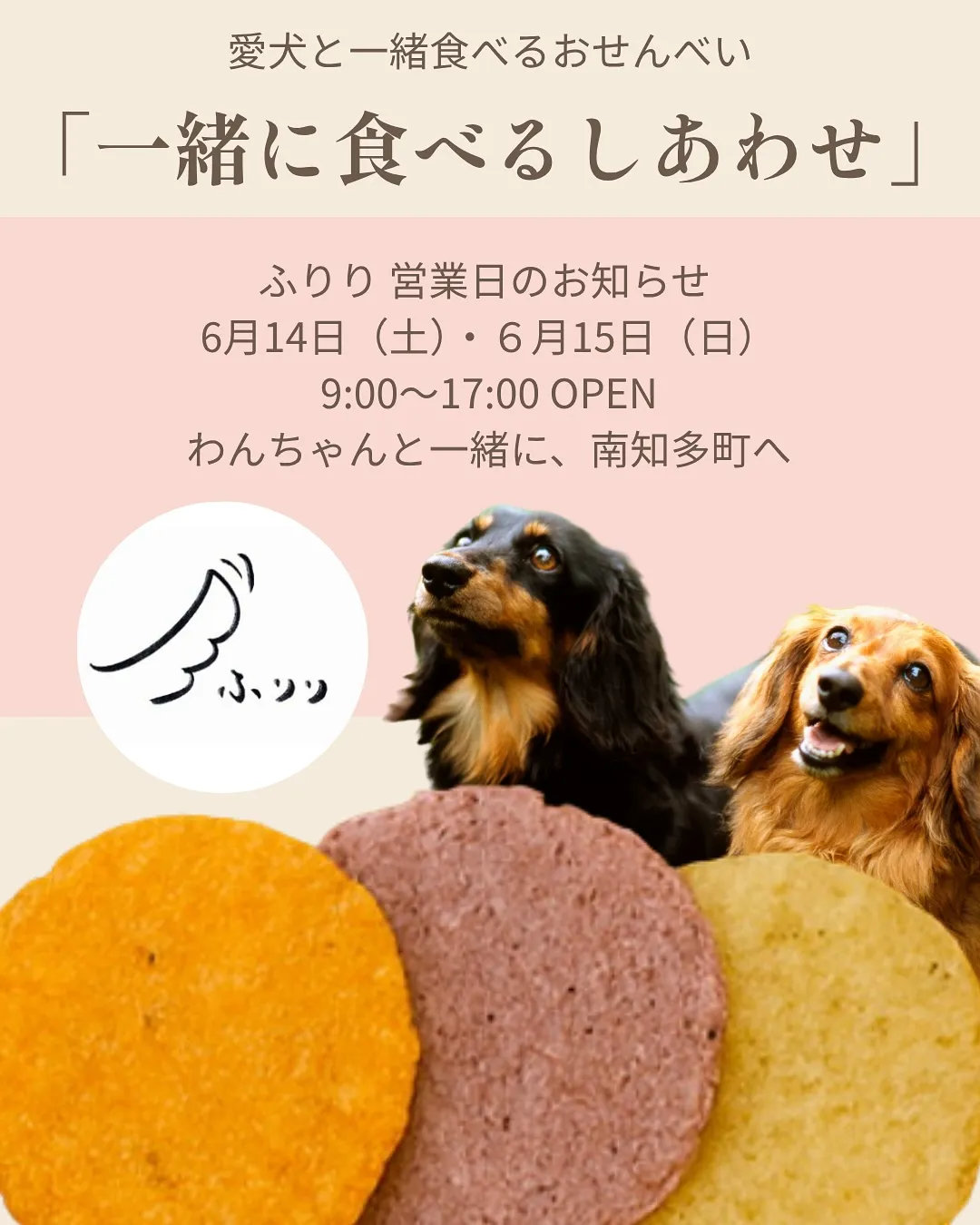 đž ãä¸įˇãĢéŖãšãããããããĩããåļæĨæĨãŽãįĨããã§ã