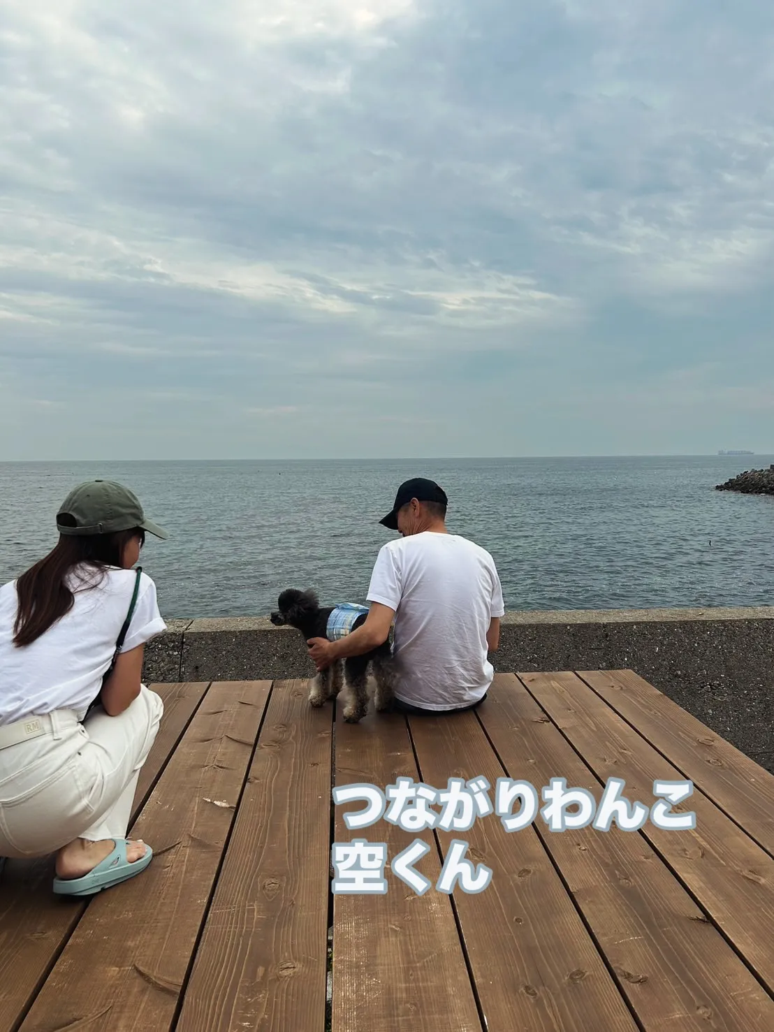 シャイなくうちゃん、さつまいもに挑戦！またまたご来店｜愛犬も...