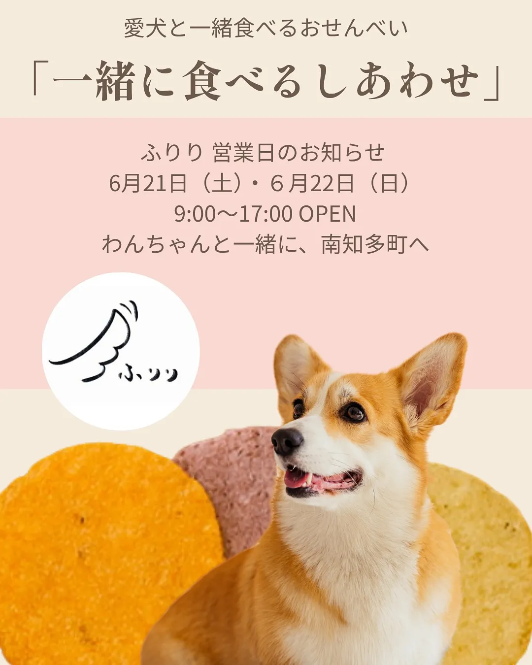 🐾 愛犬と一緒に食べるしあわせ時間｜ふりり営業日のおしらせ ...