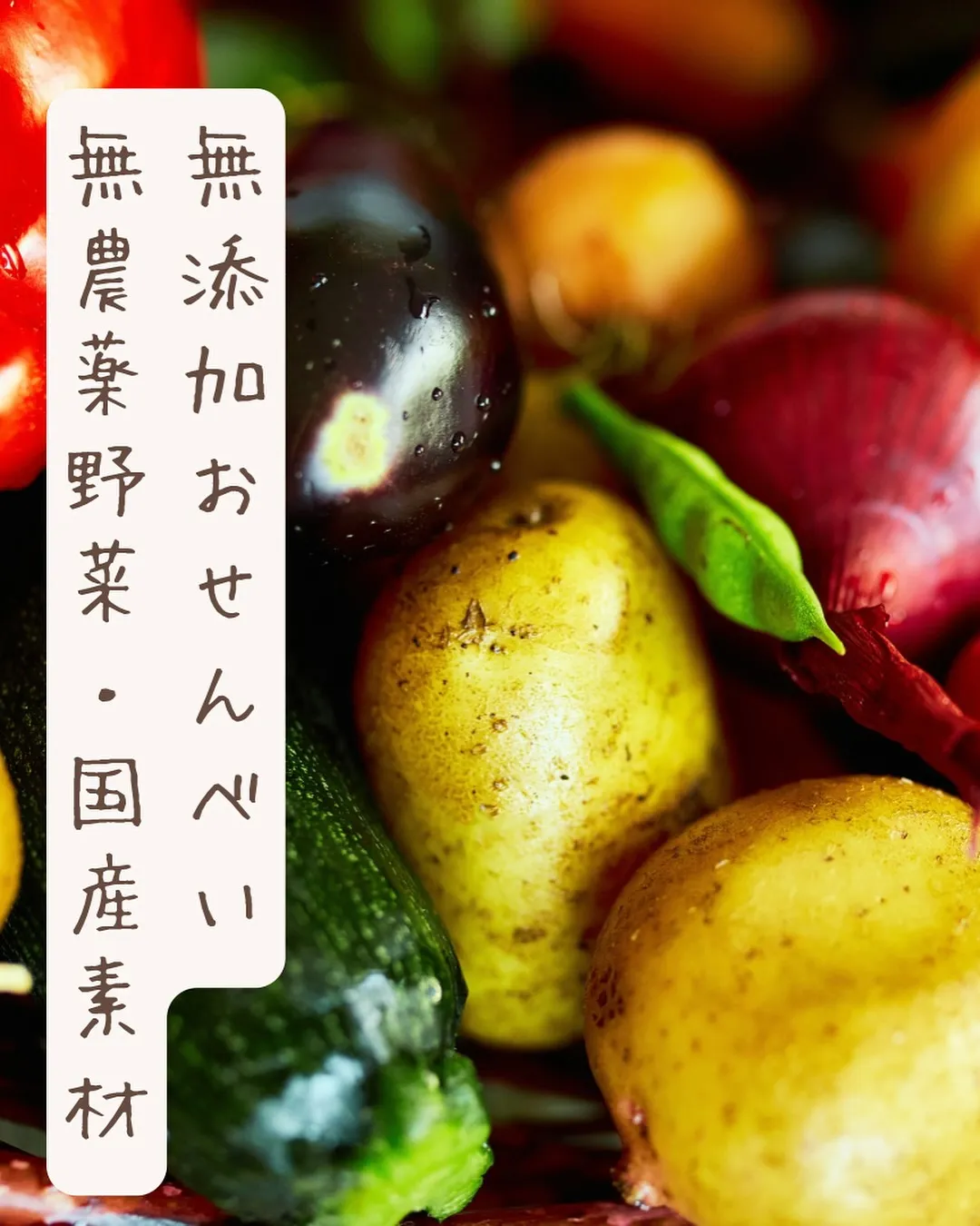 🐾 愛犬と一緒に食べるしあわせ時間｜ふりり営業日のおしらせ ...