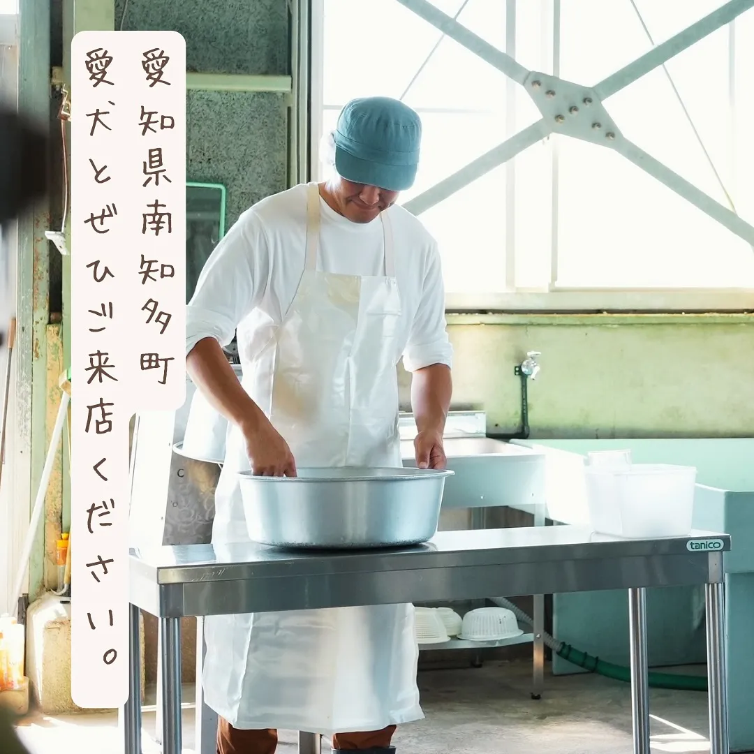 東別院暮らしの朝市に出店します♪愛犬と一緒食べるおせんべいふ...