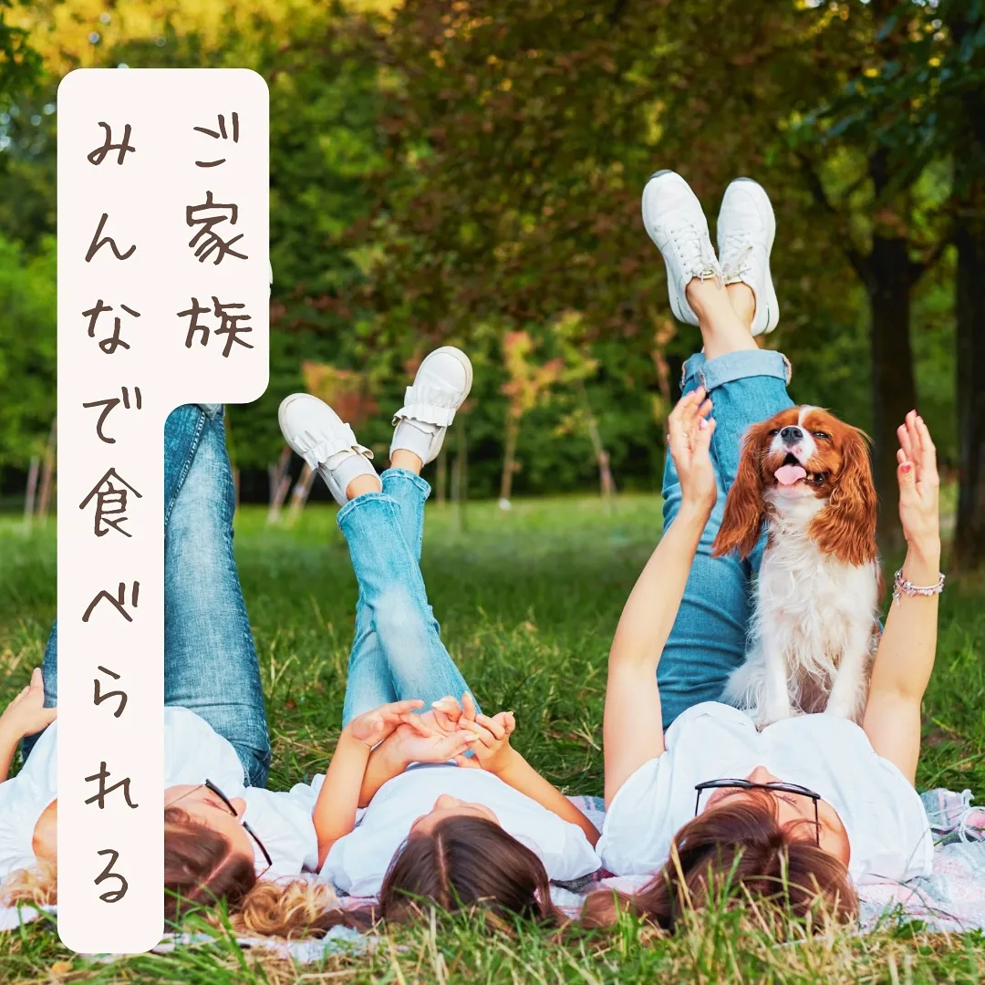 東別院暮らしの朝市に出店します♪愛犬と一緒食べるおせんべいふ...