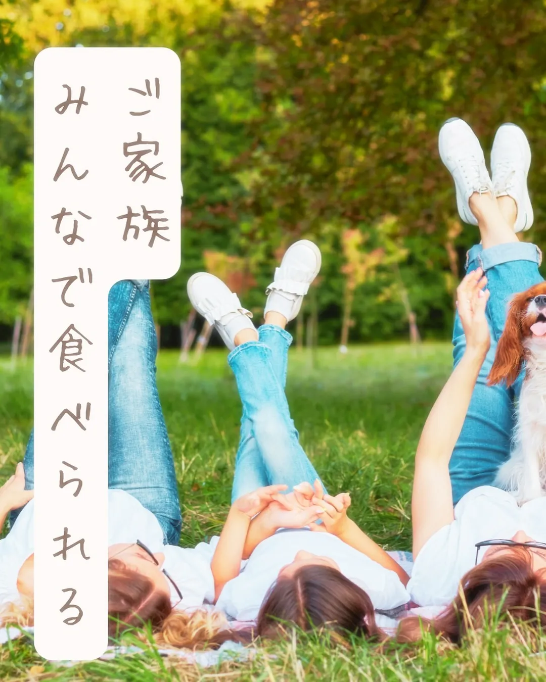 北陸最大級のイベント！ワンまるプチに出店します｜愛犬も食べら...