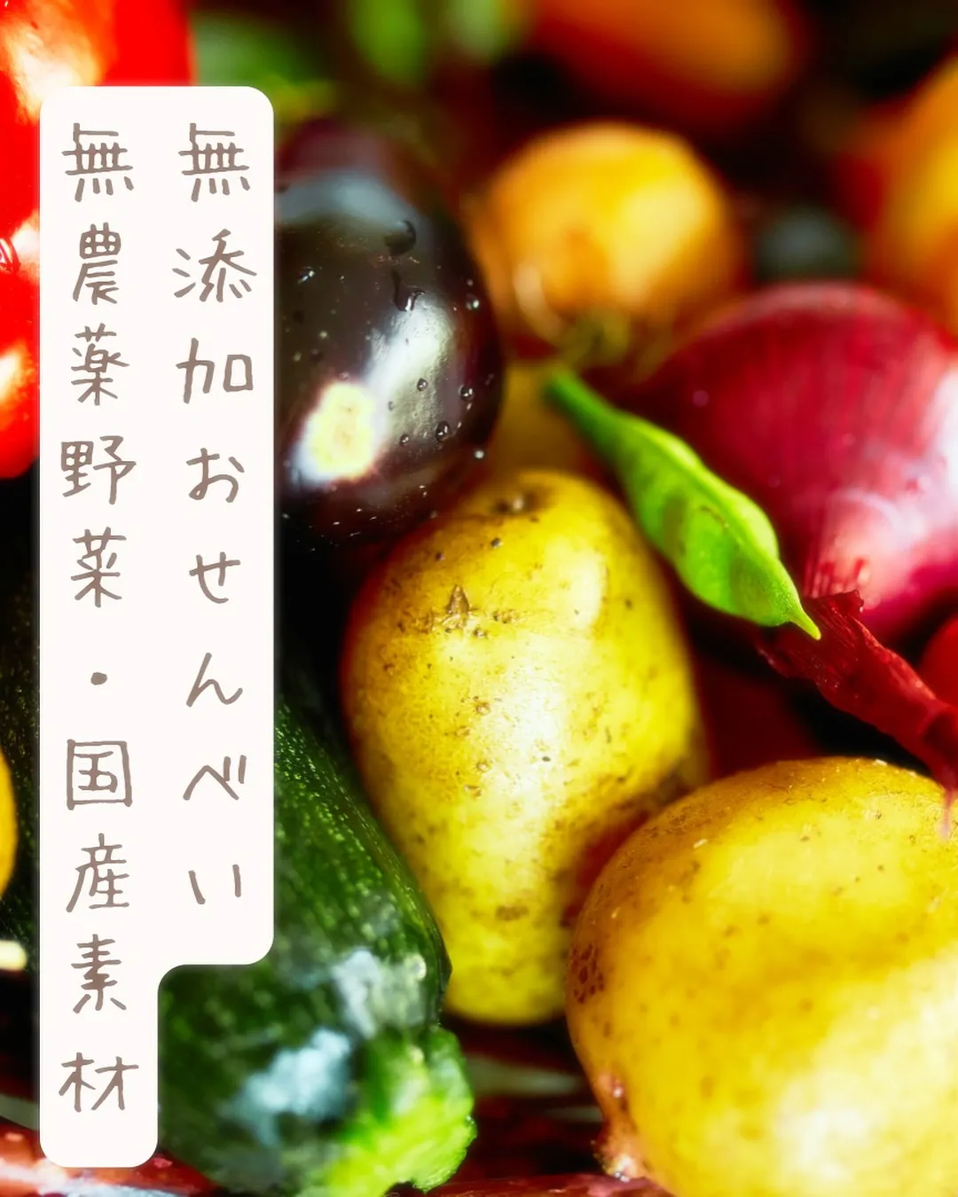 北陸最大級のイベント！ワンまるプチに出店します｜愛犬も食べら...