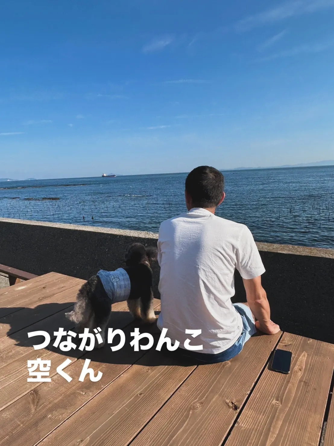 🐾 空くん、今日もありがとう｜つながりわんこ × 無添加おせ...