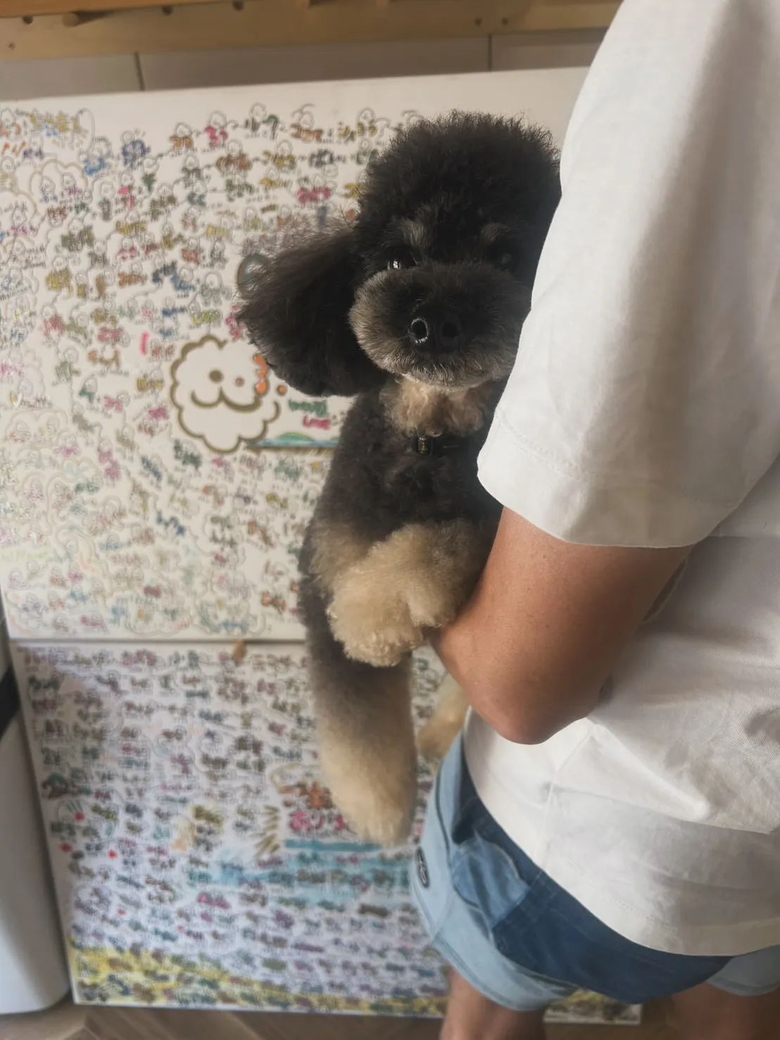 🐾 空くん、今日もありがとう｜つながりわんこ × 無添加おせ...