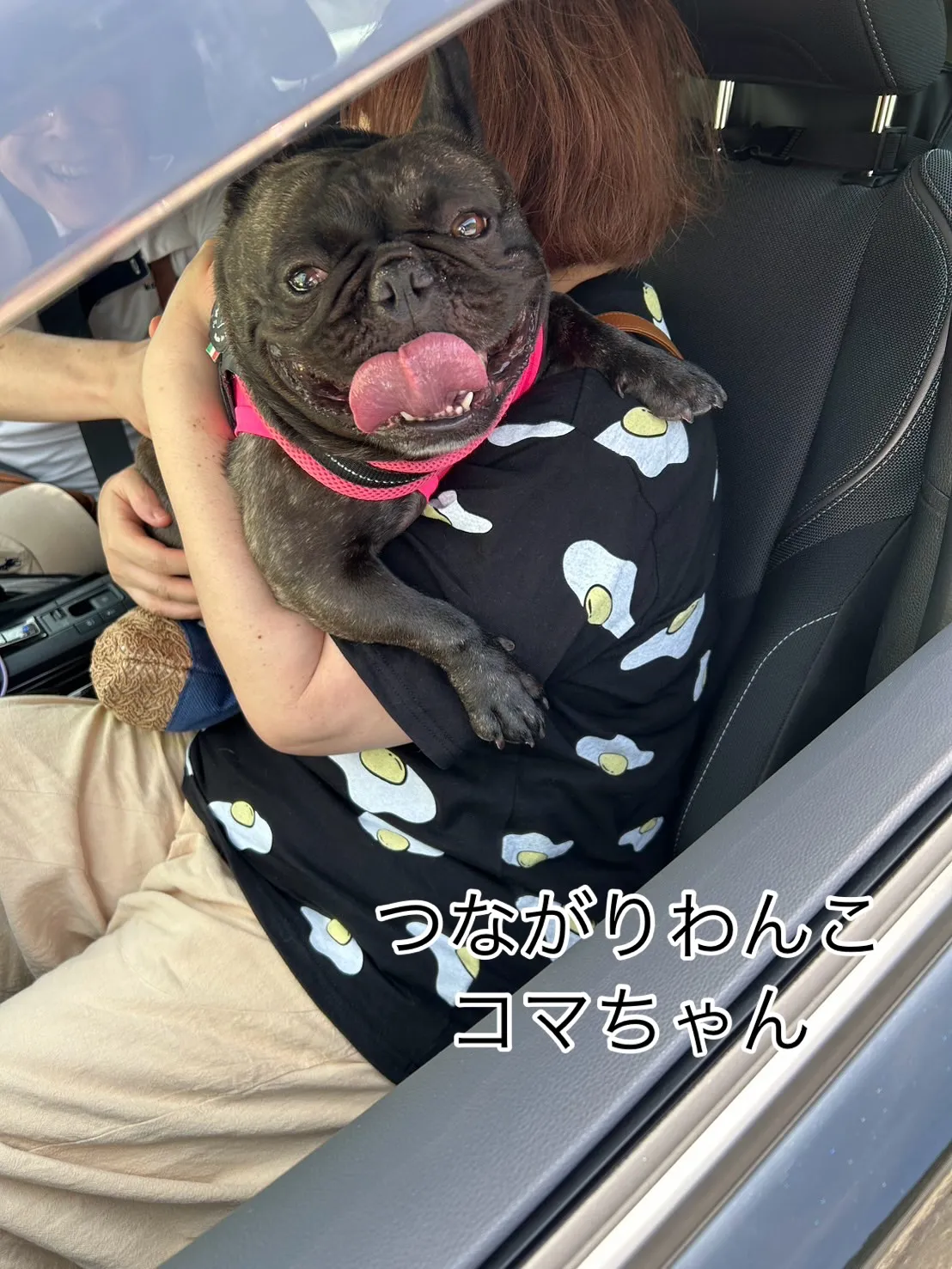 コマチャン、はじめてのふりりへようこそ|つながりわんこ × ...