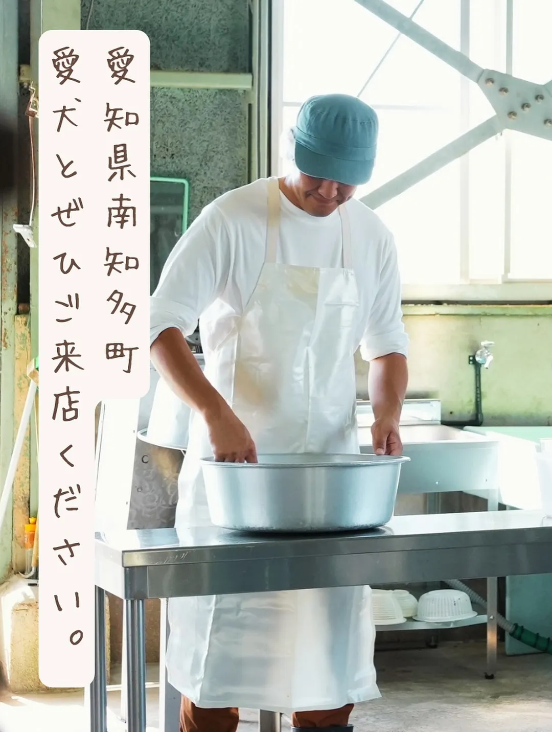 コマチャン、はじめてのふりりへようこそ|つながりわんこ × ...