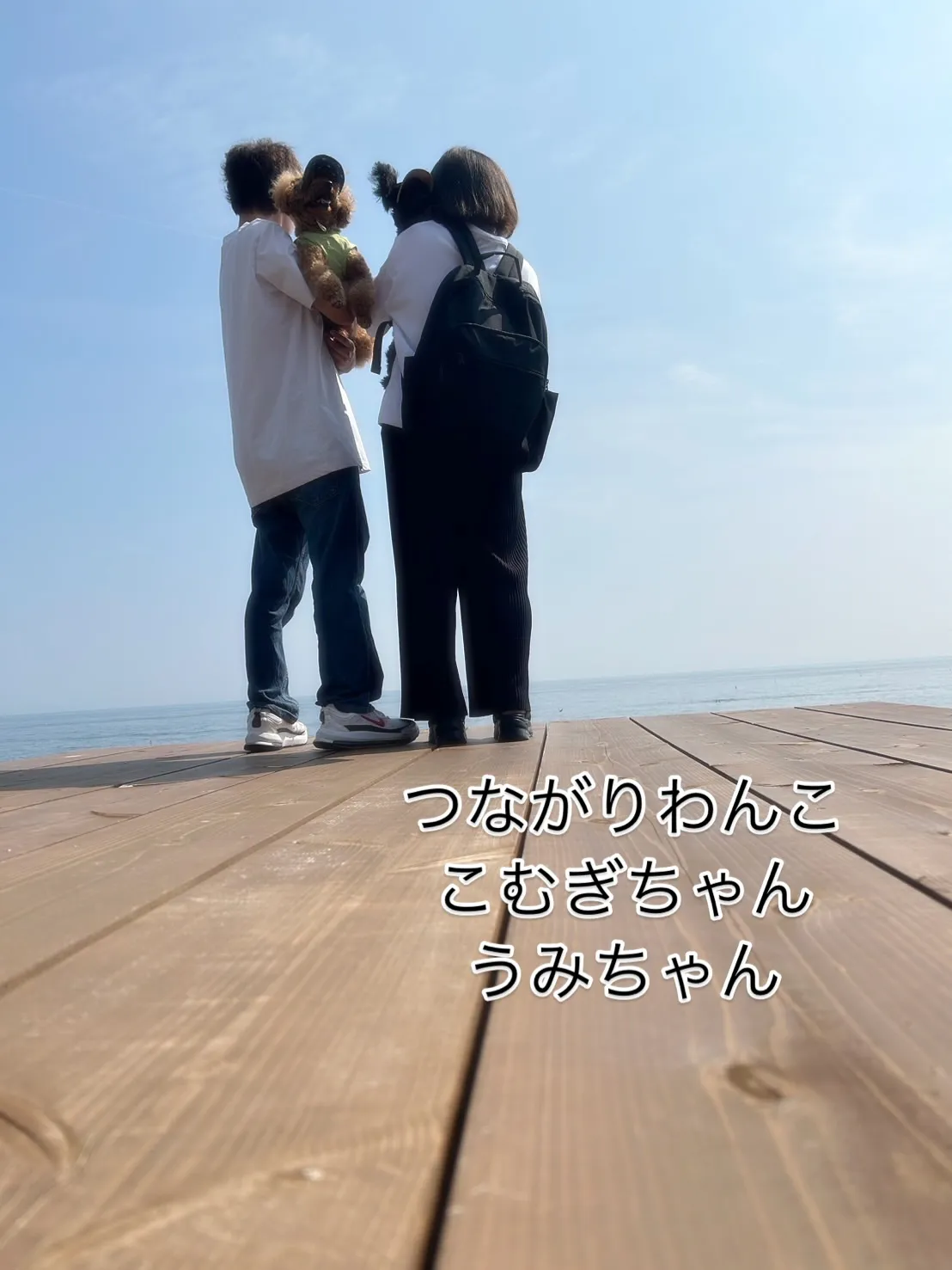 🐾 こむぎちゃん＆うみちゃん、夏の日のふりり時間｜つながりわ...