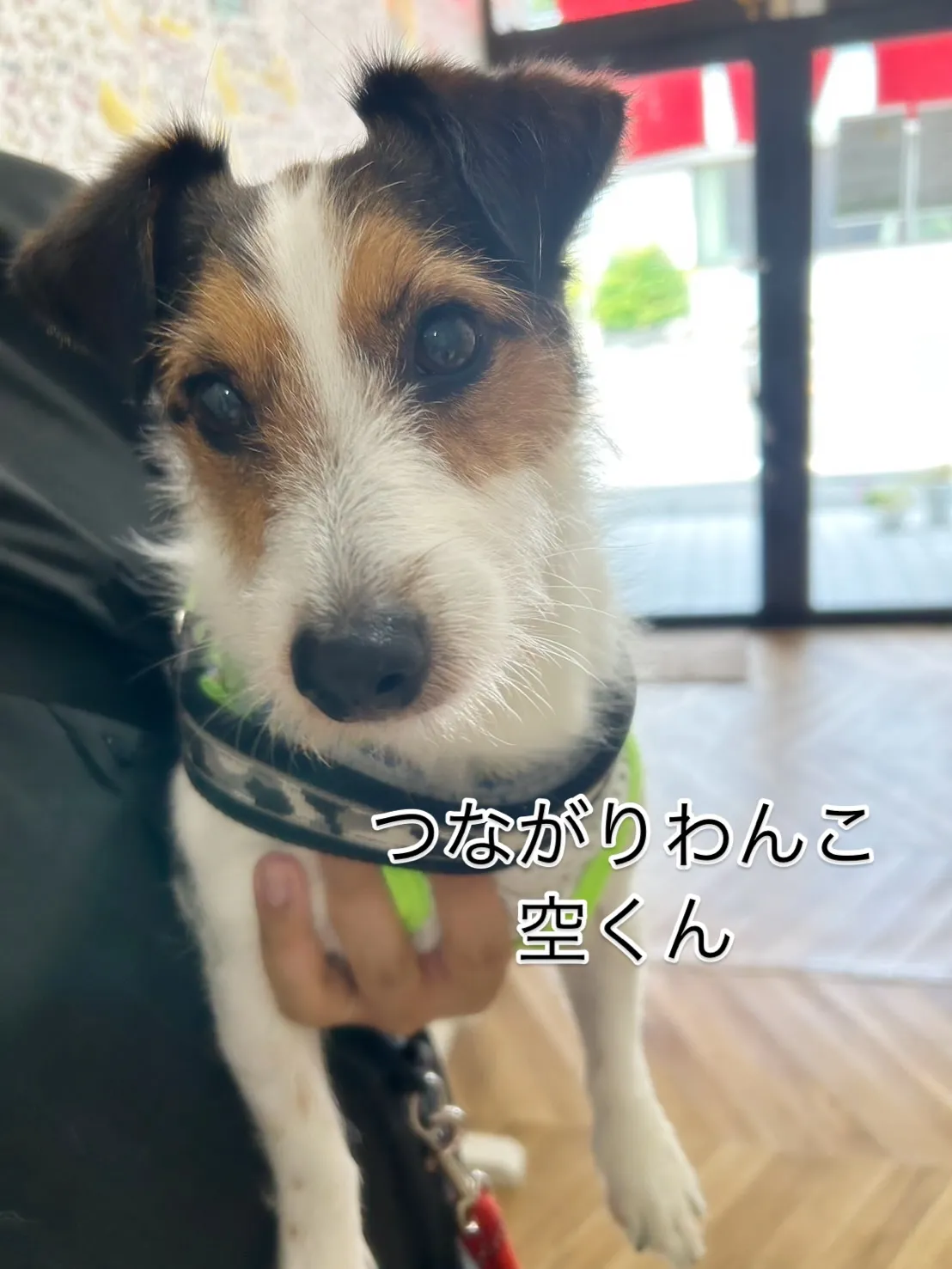 đž įŠēãããã¸ãŖãã¯ãŽéãžãåãĢãĩããã¸īŊã¤ãĒããããã Ã...