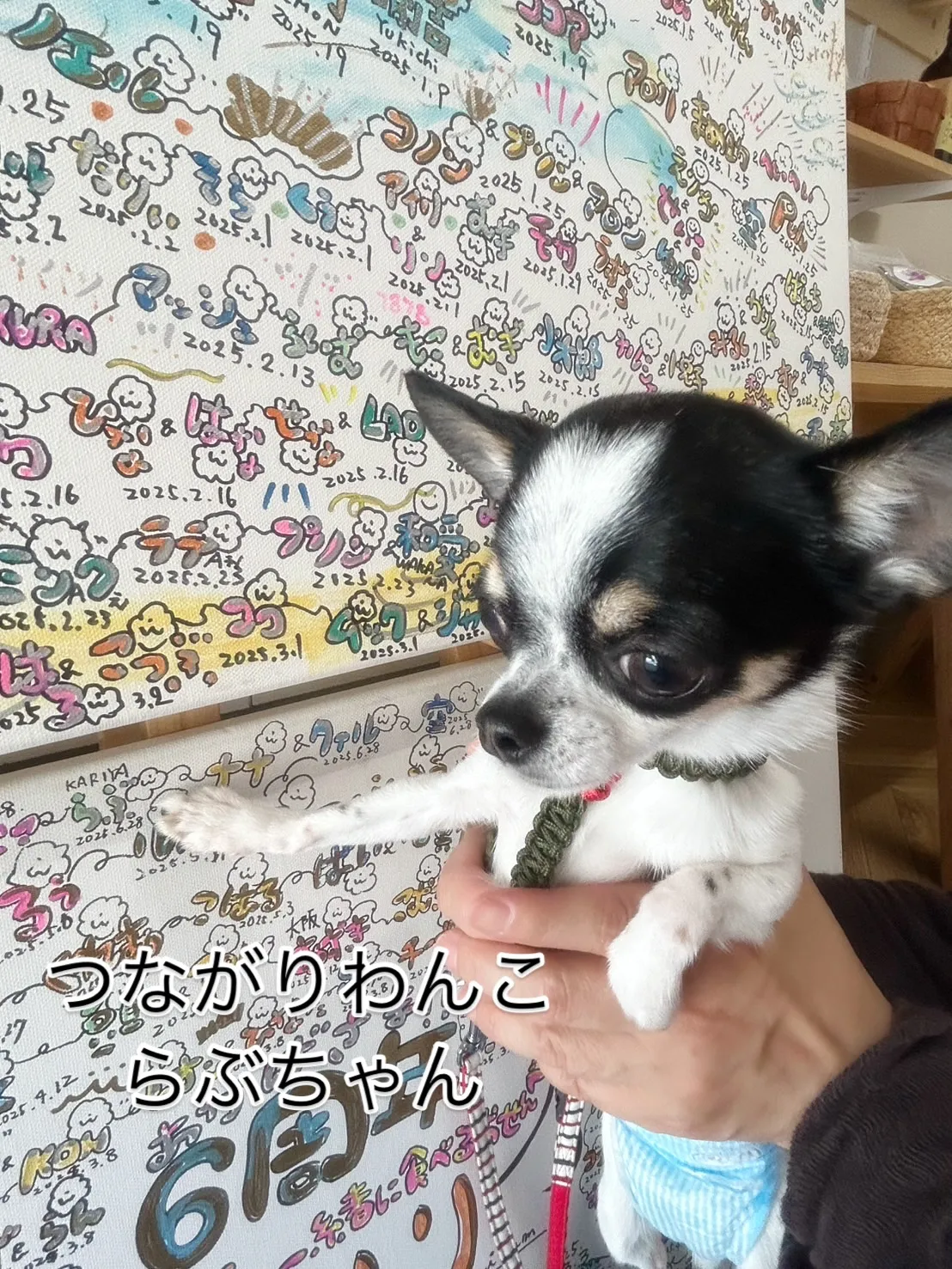 ๐พ ใใถใกใใใใซใใซใไธๆใชใใฏใฏใใ๏ฝใคใชใใใใใ ร...