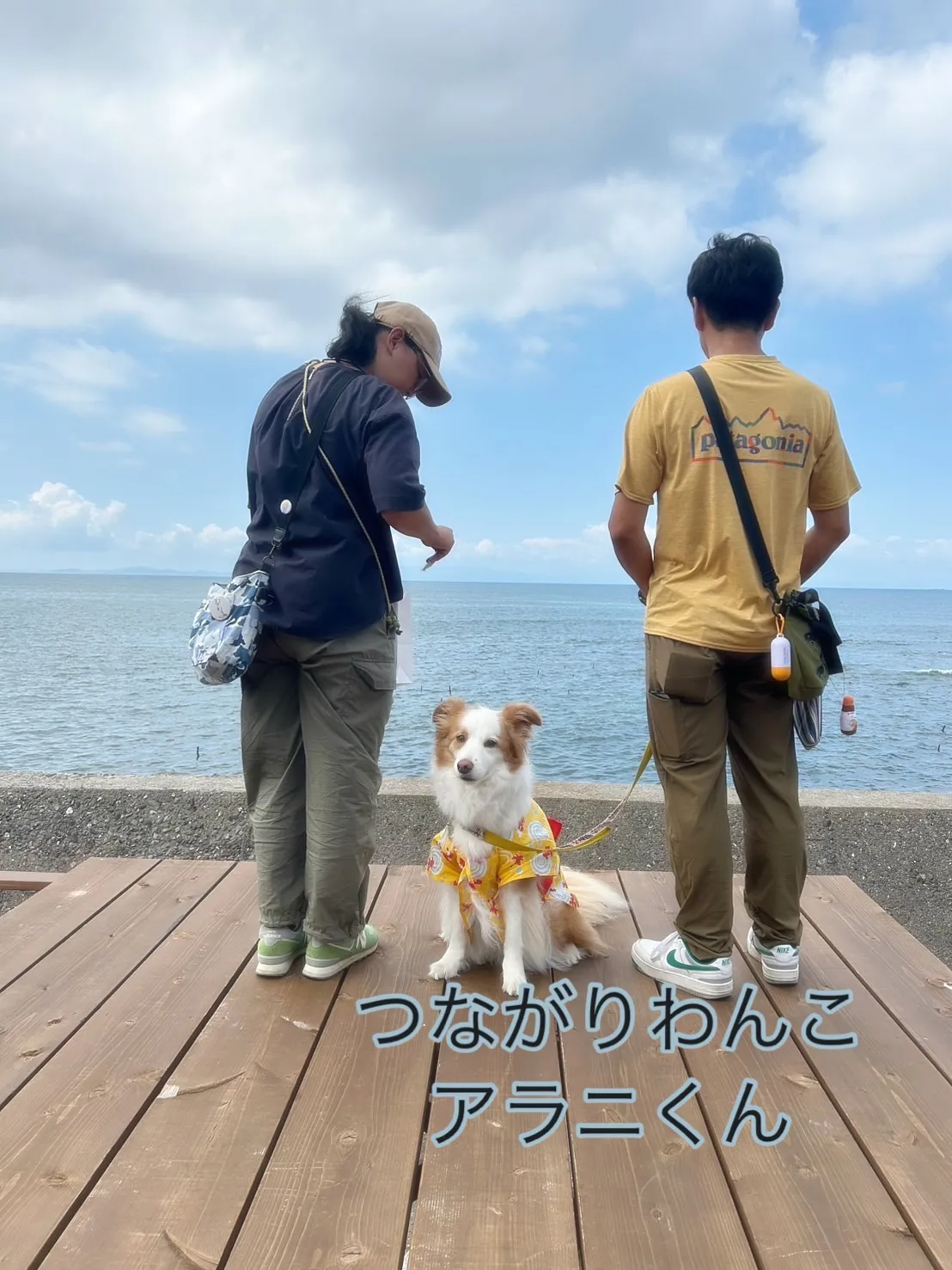 アラニくん、応援隊のしらす時間|つながりわんこ × 無添加お...