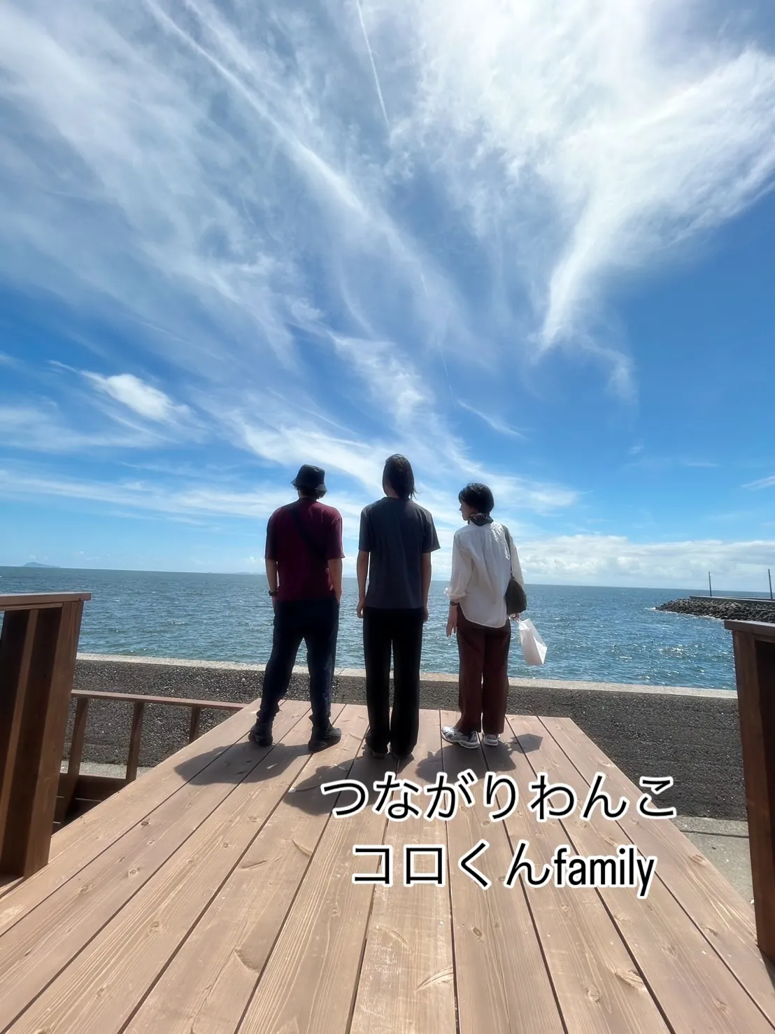 đž ããŦããčĻãĻãĩããã¸īŊã¤ãĒããããã Ã įĄæˇģå ããããš...