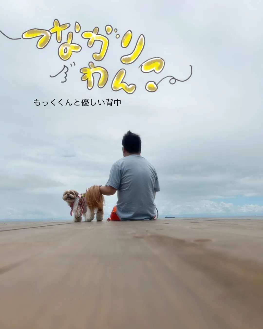 🌊 もっくくん｜やさしい背中とわんぼうだいへ｜愛犬も無添加お...
