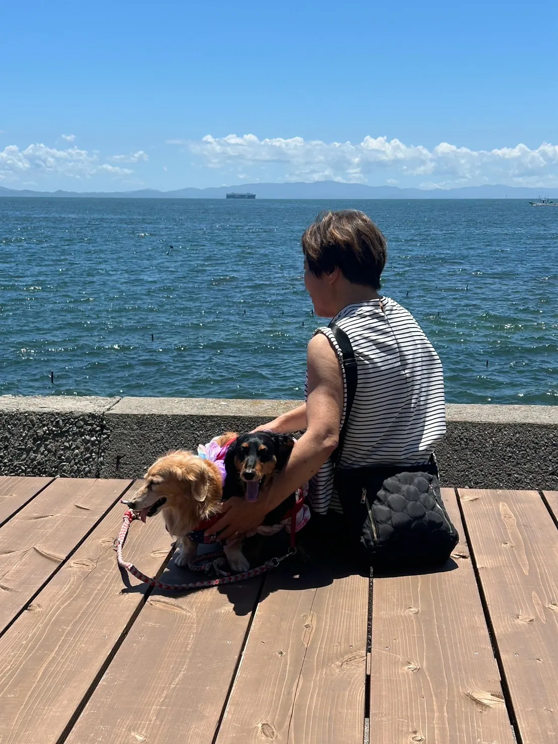 ココちゃん＆ノアちゃん｜浴衣で夏のおでかけ、無添加ふりり