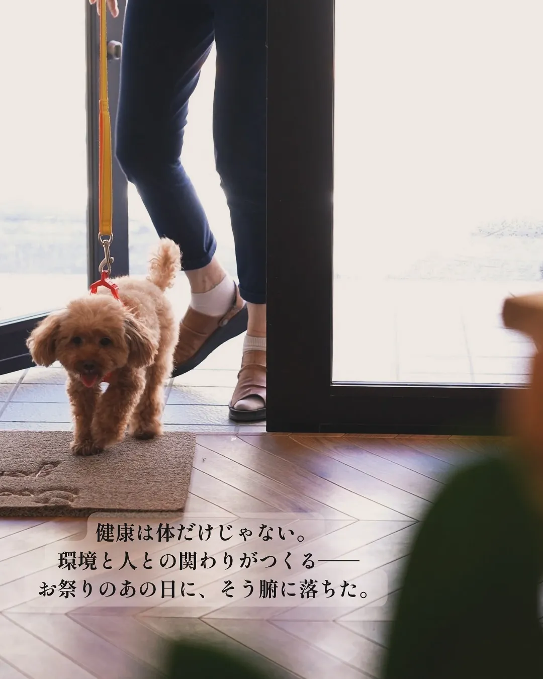 今日は、ふりりの原点を少しだけ真面目に。