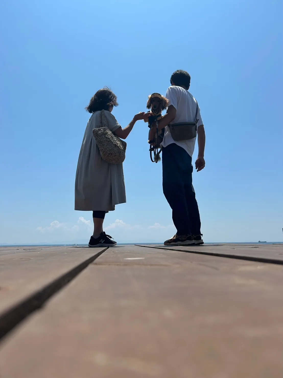 ソーダくん｜青空に舞う海辺のひととき、無添加ふりり