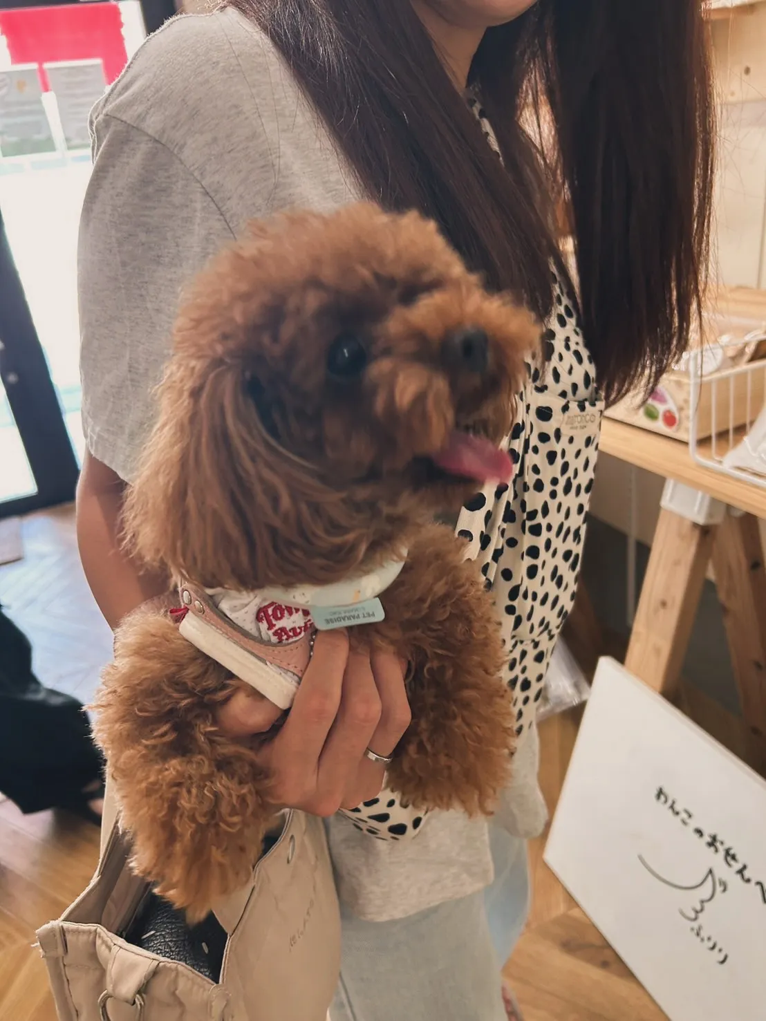 リアちゃん|初めてのご来店、無添加ふりりと出会う日