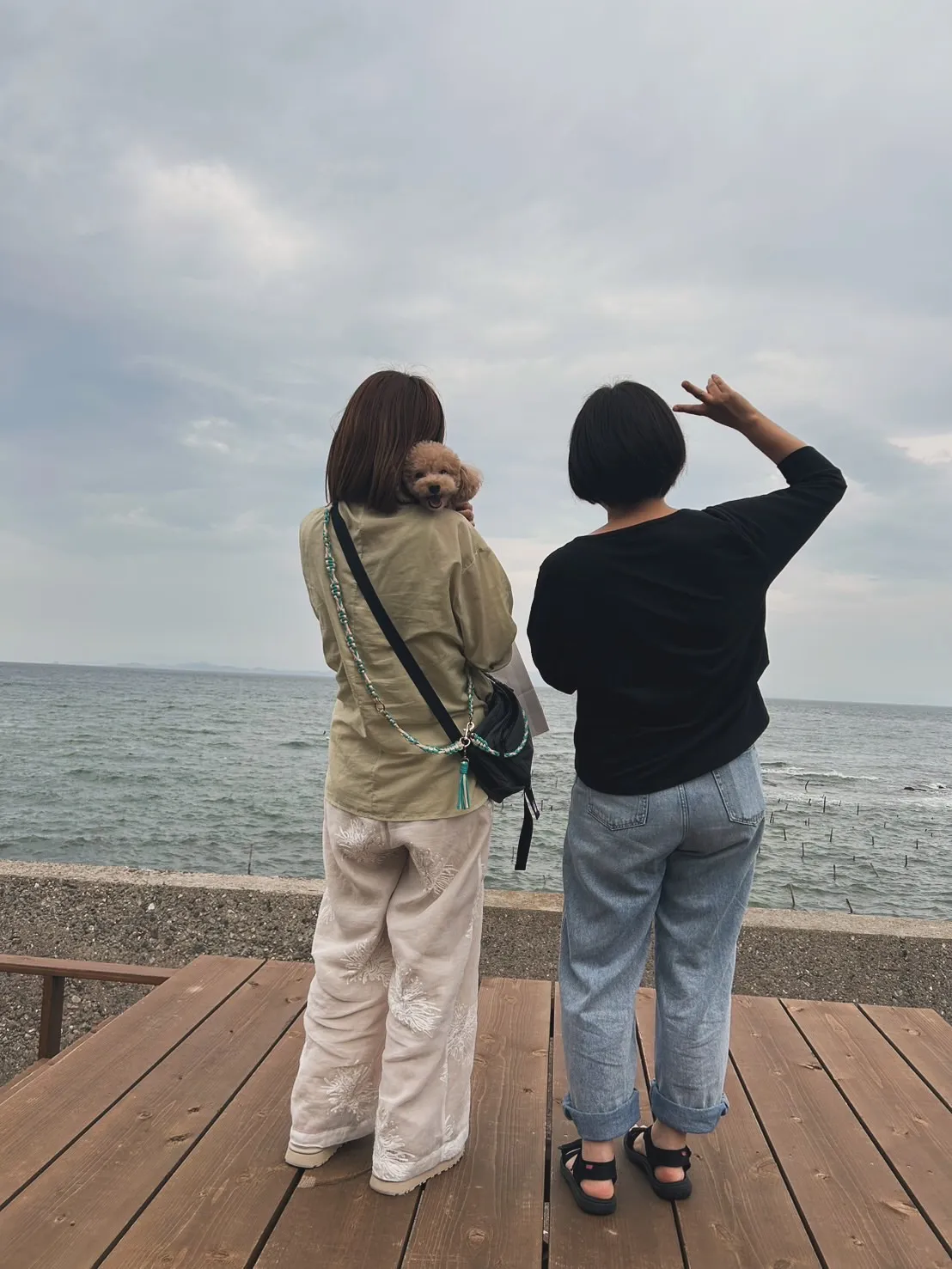 ポムポムくん|ふりりのおせんべい大好き!初めてのわんぼうだい