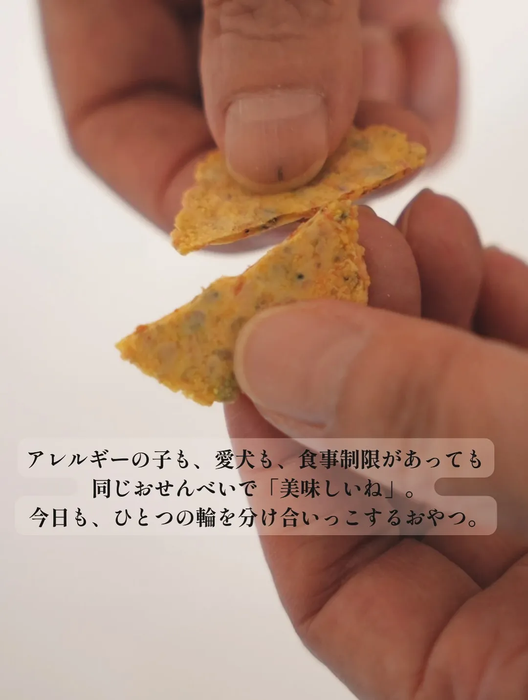 ポムポムくん|ふりりのおせんべい大好き!初めてのわんぼうだい