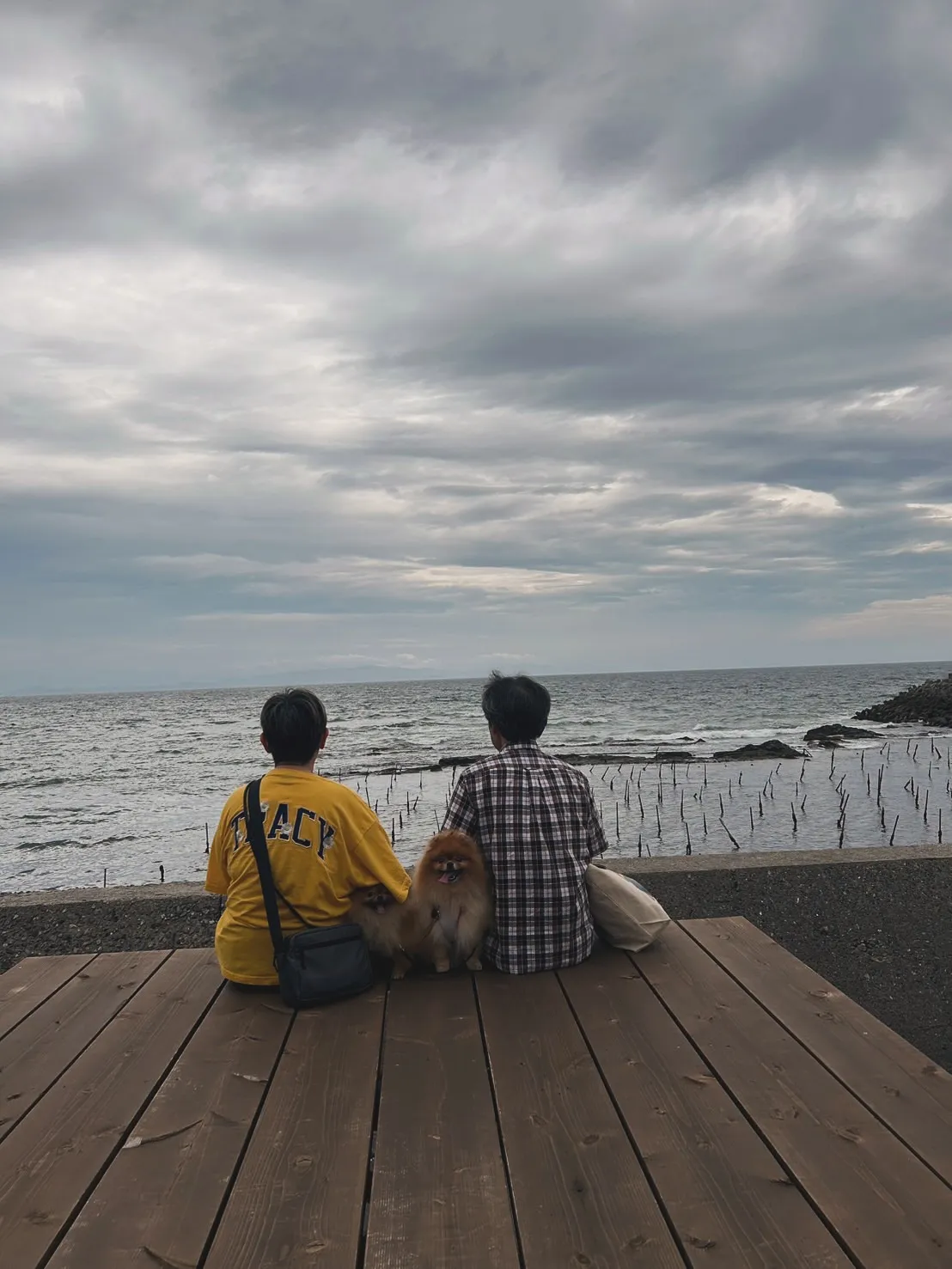 ルルちゃん＆ハンクくん｜ふわふわ笑顔と、ふりりのやさしい時間