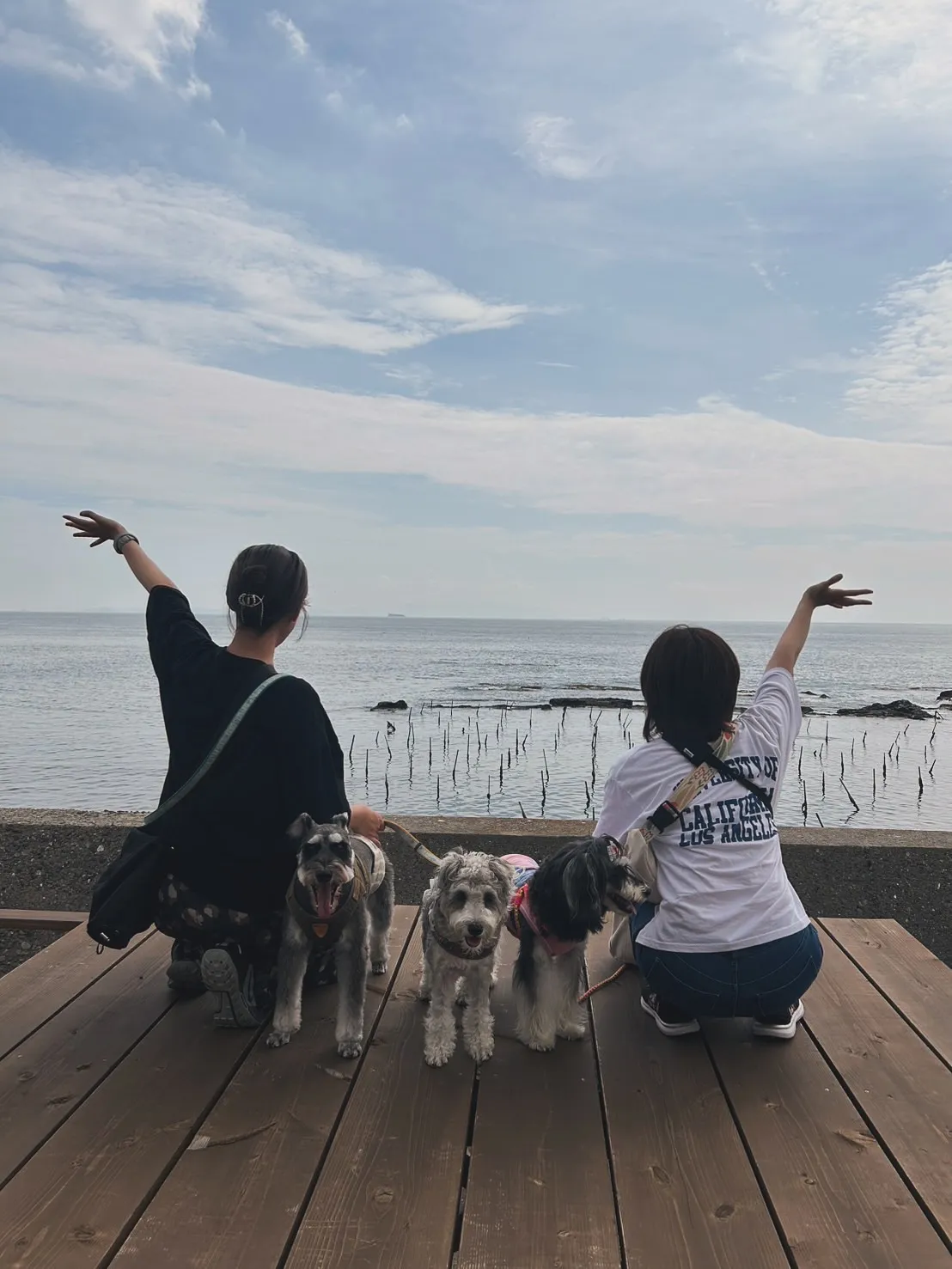 ちょこちゃん・ちるとくん・れいんちゃん|仲良しトリオでふりり...