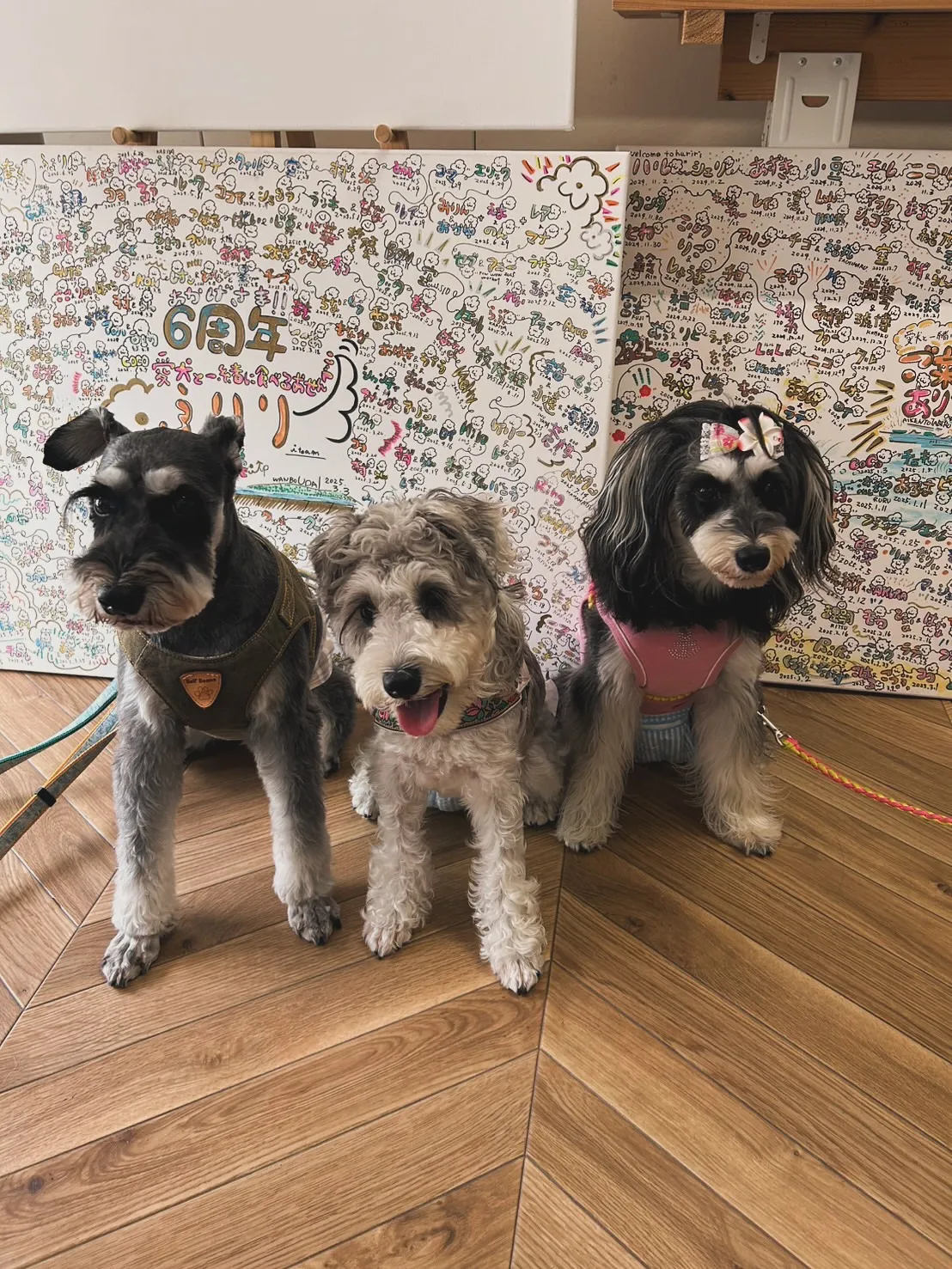 ちょこちゃん・ちるとくん・れいんちゃん|仲良しトリオでふりり...