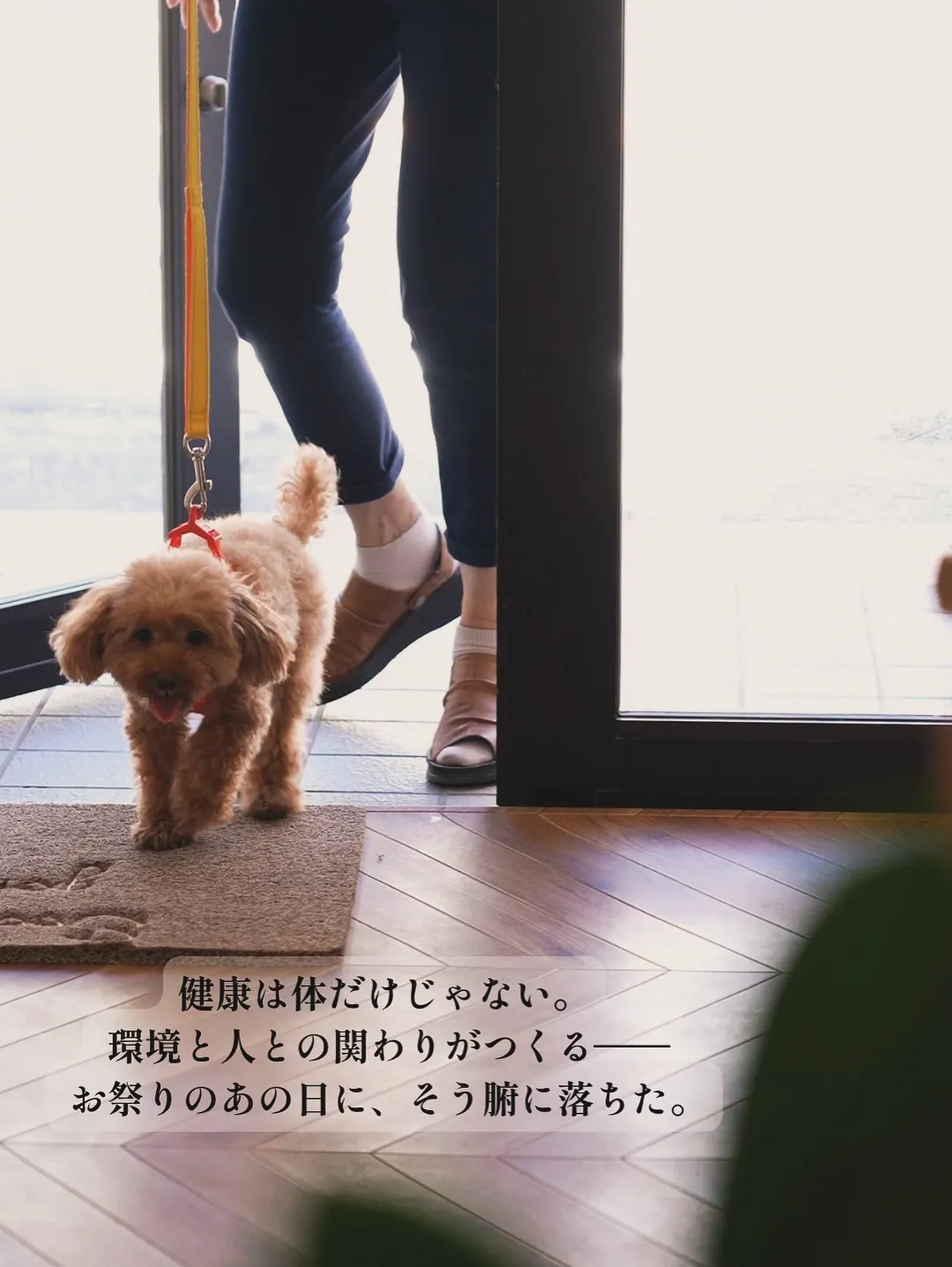 ちょこちゃん・ちるとくん・れいんちゃん|仲良しトリオでふりり...