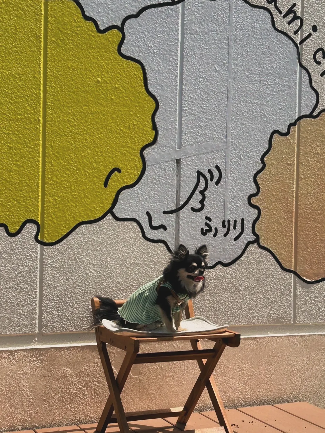 空羽くん｜イベント常連さんが南知多店へ🐾