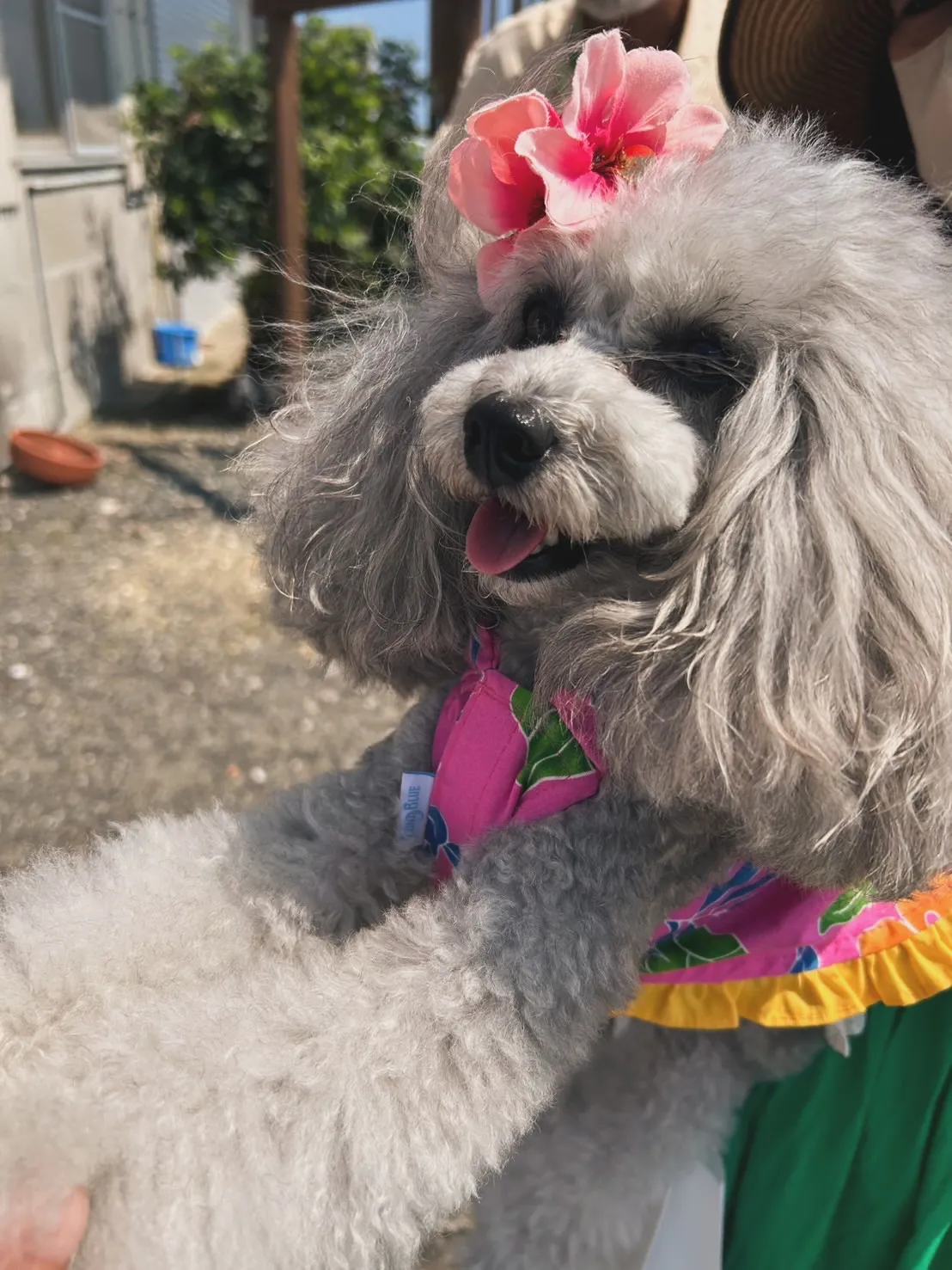 🌸夢萌（めるも）ちゃん🌸