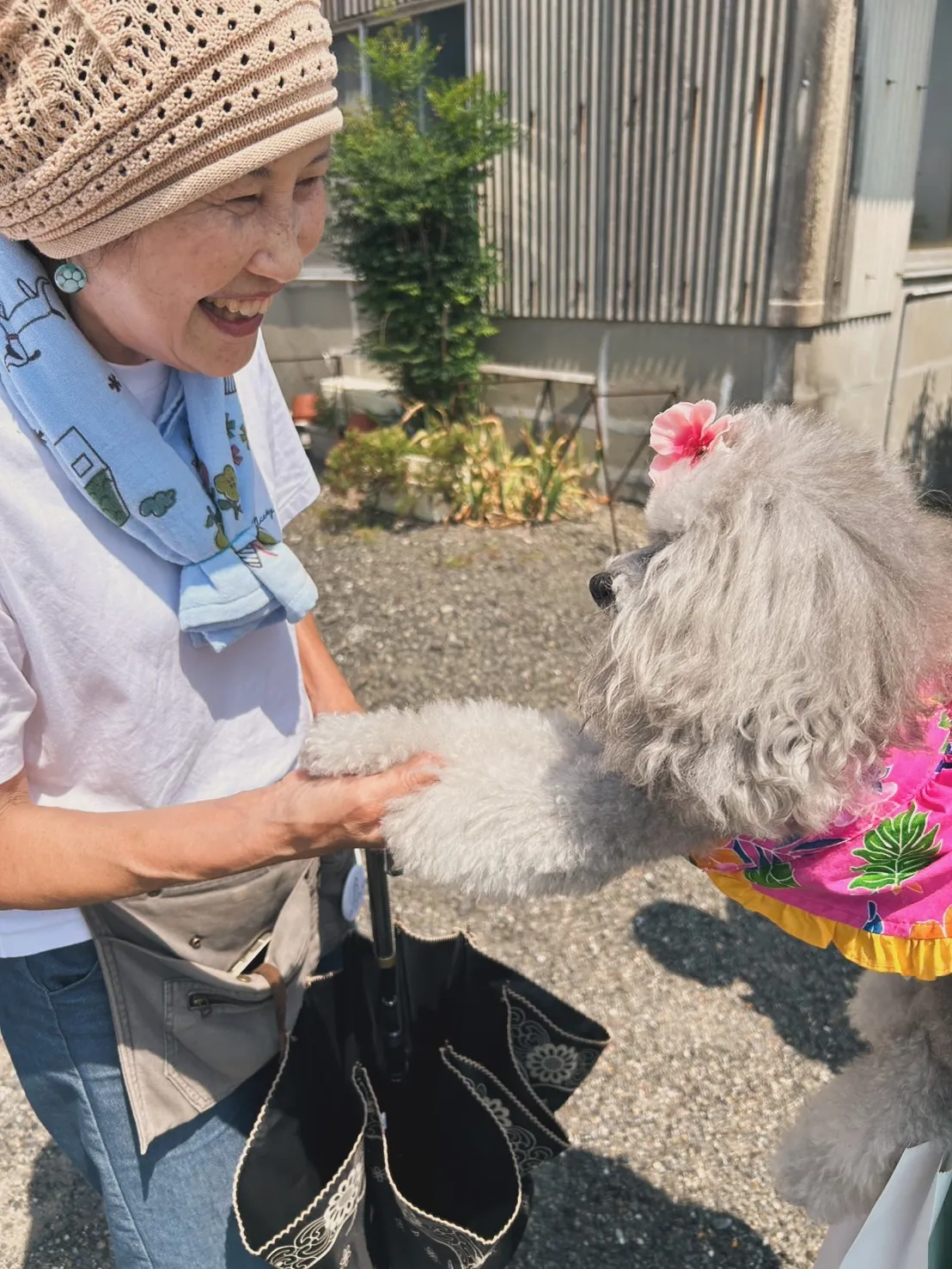 🌸夢萌（めるも）ちゃん🌸