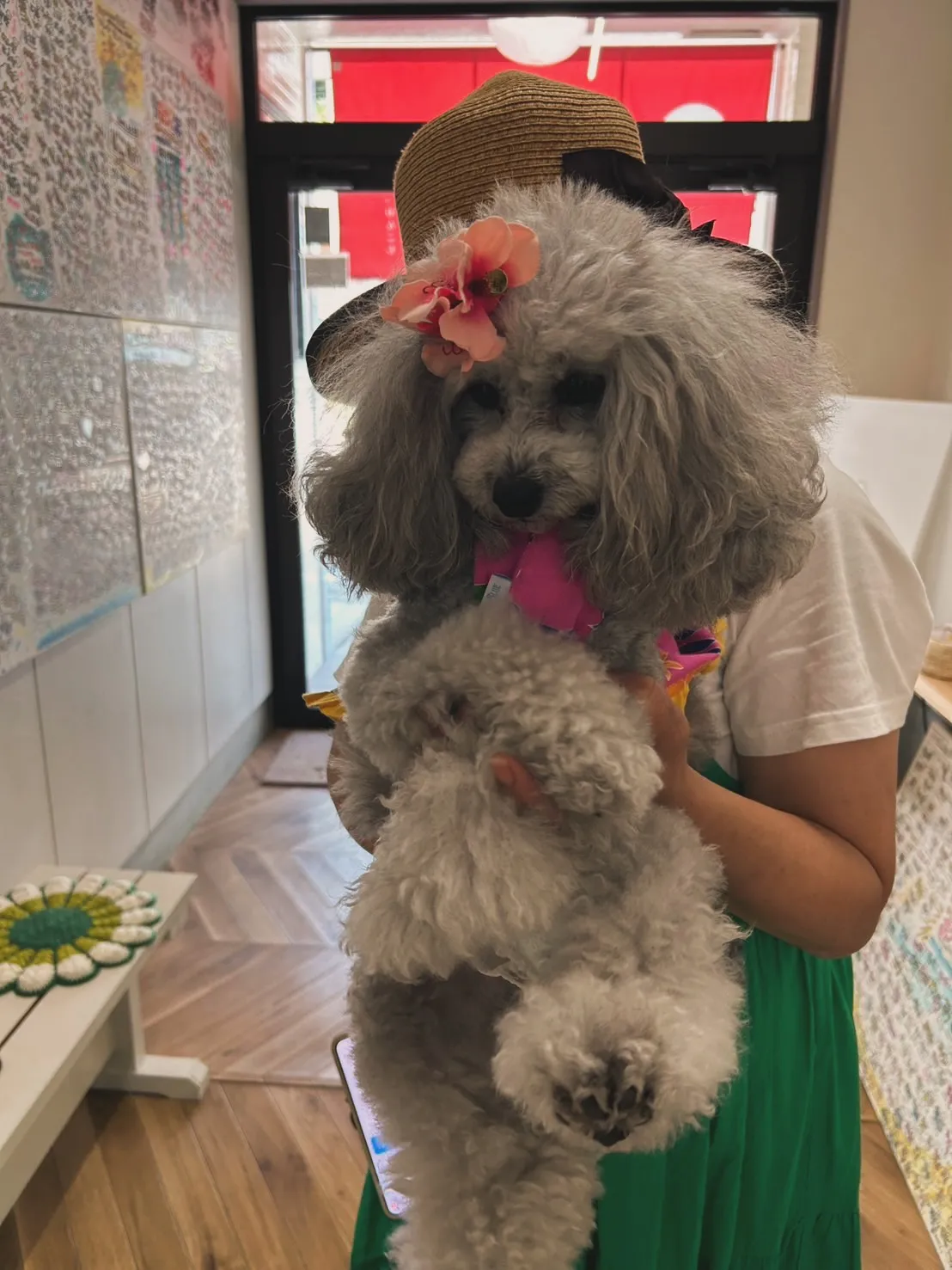 🌸夢萌（めるも）ちゃん🌸