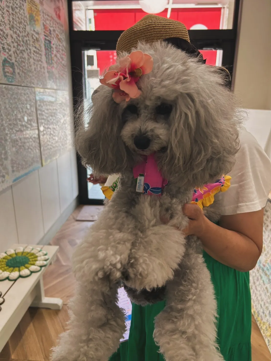 🌸夢萌（めるも）ちゃん🌸