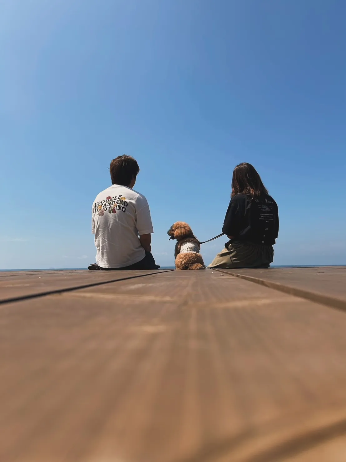 🐾べんとれーくん（トイプードル）初ご来店✨