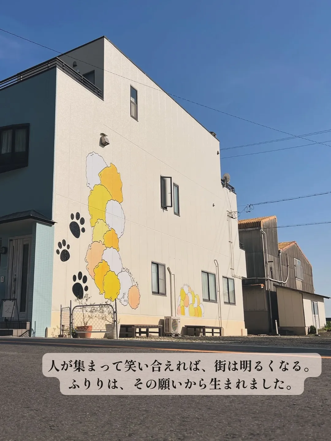 🐾べんとれーくん（トイプードル）初ご来店✨